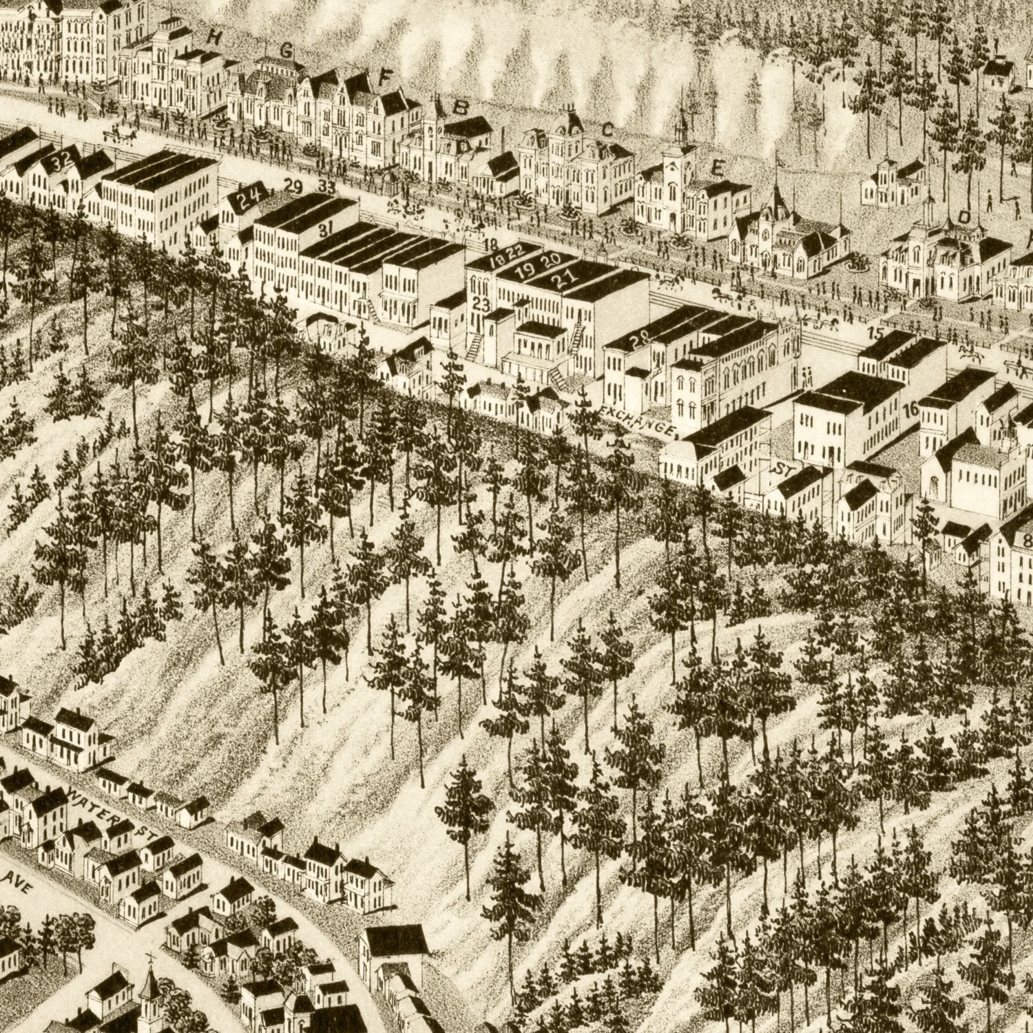 Vintage Map of Hot Springs, Arkansas 1888