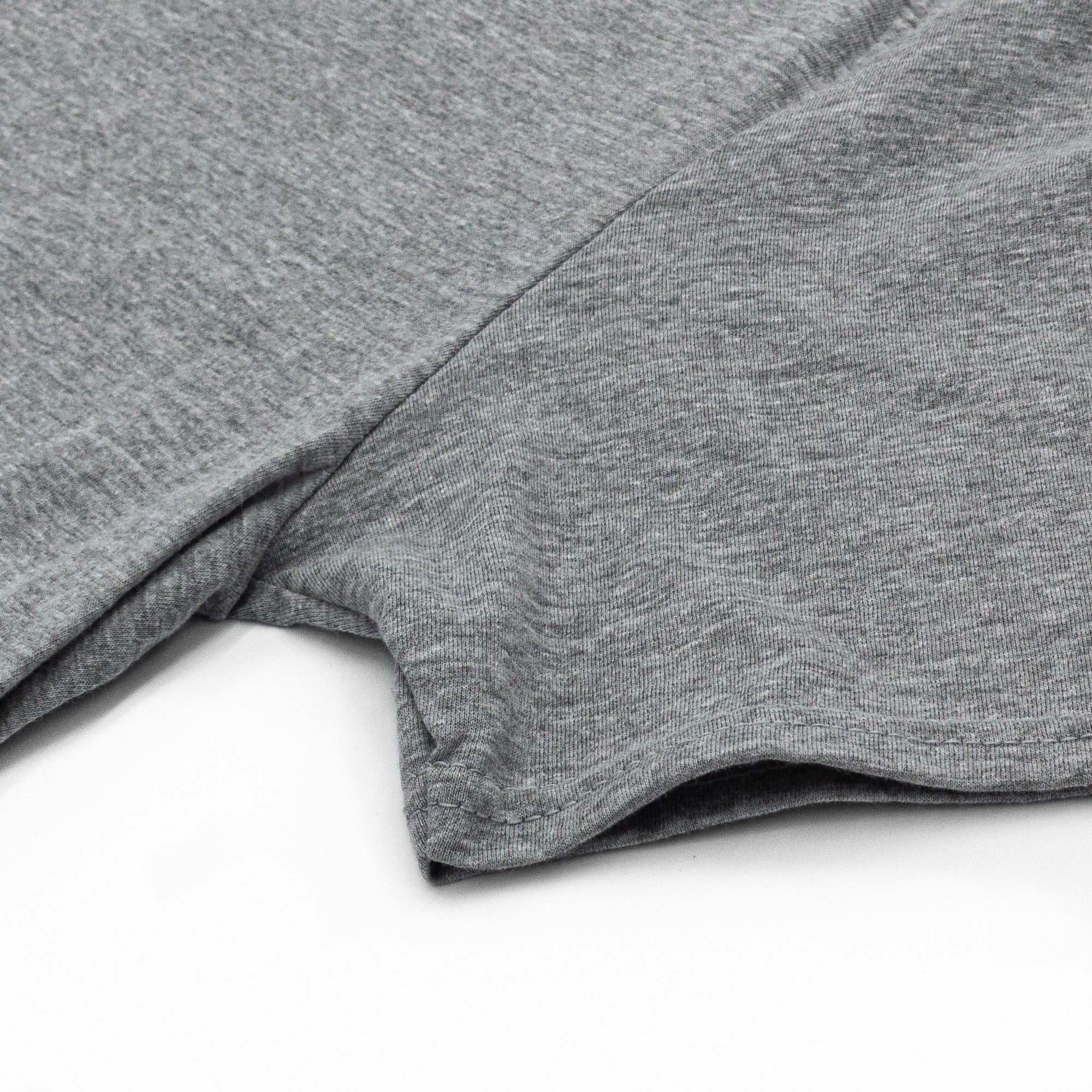 Coors Banquet Rocky Mountain Water T-Shirt- Gray