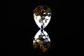 #3.5 Colorado "Two Face" Spinner Blade (single blade)