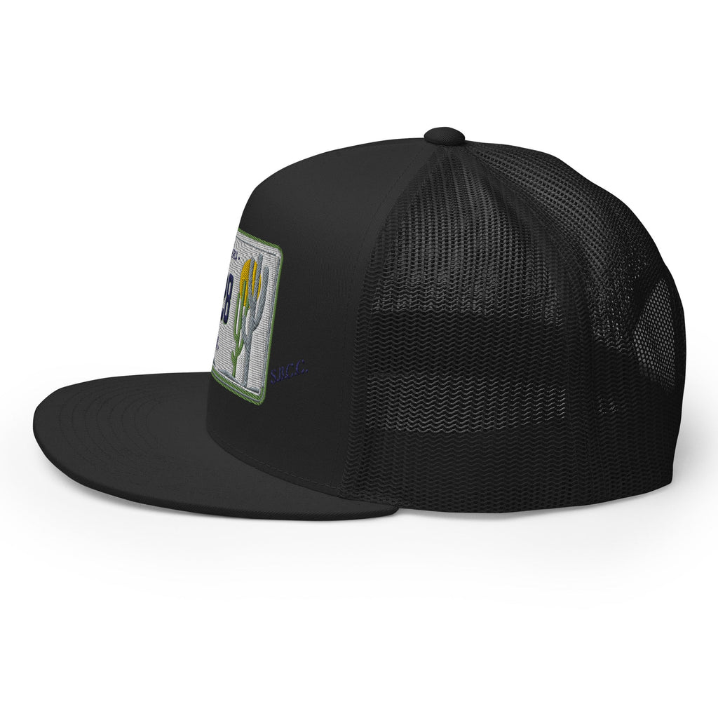 Arizona License Plate Hat