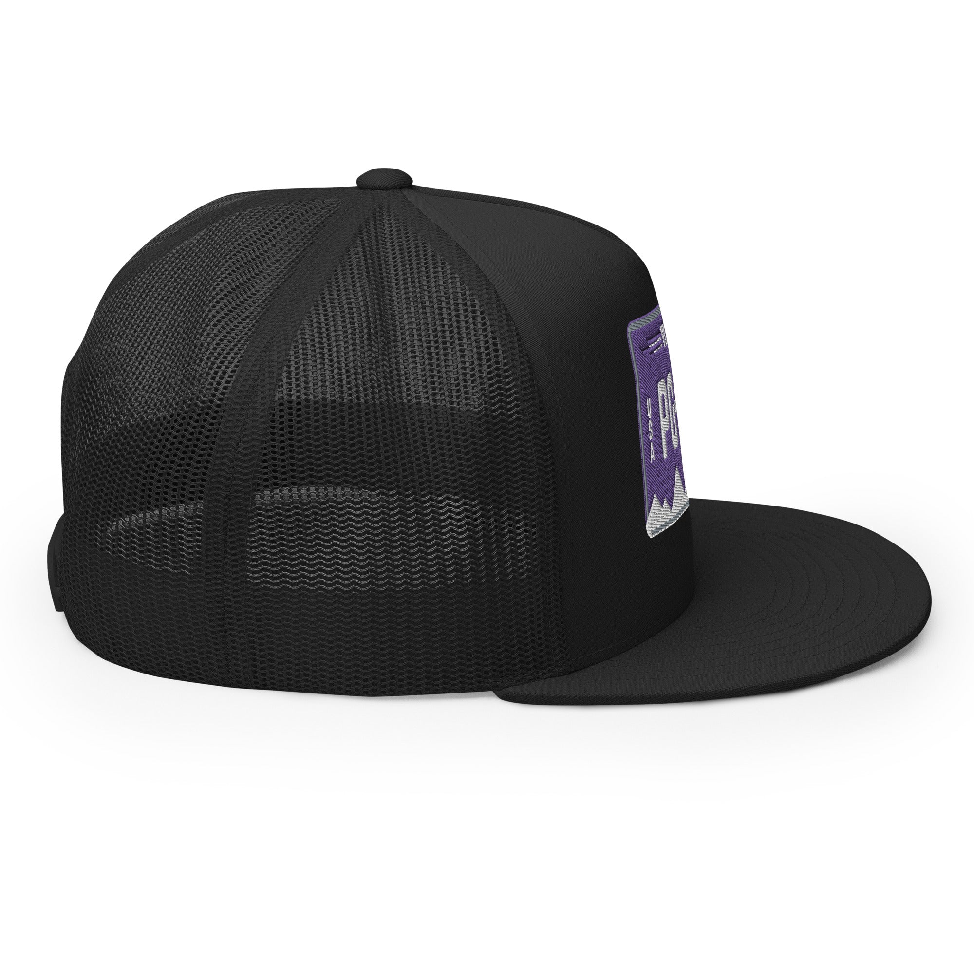 Virginia License Plate Hat