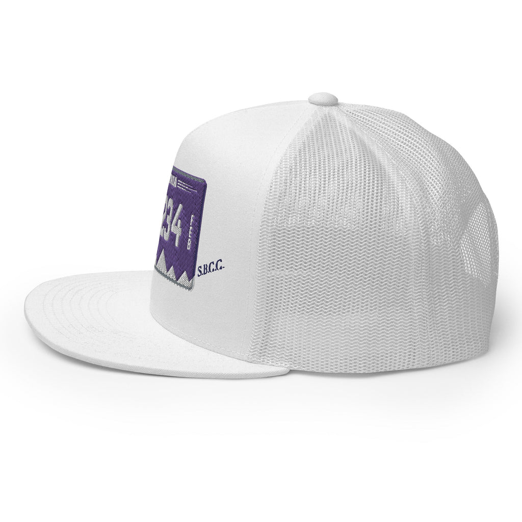 Virginia License Plate Hat