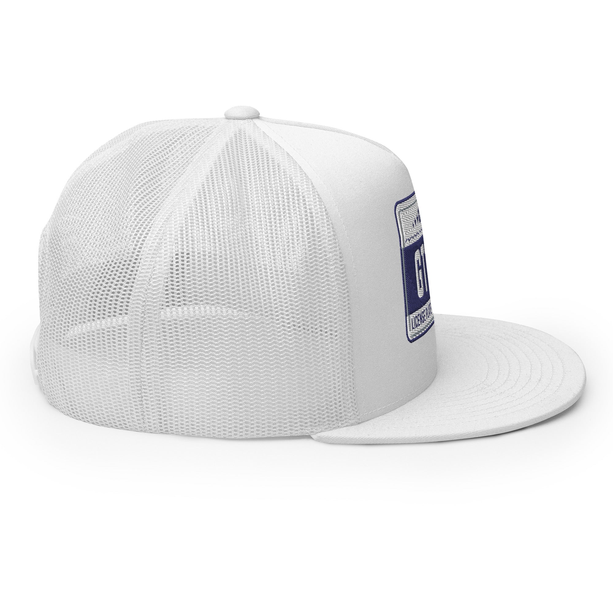 Georgia License Plate Hat