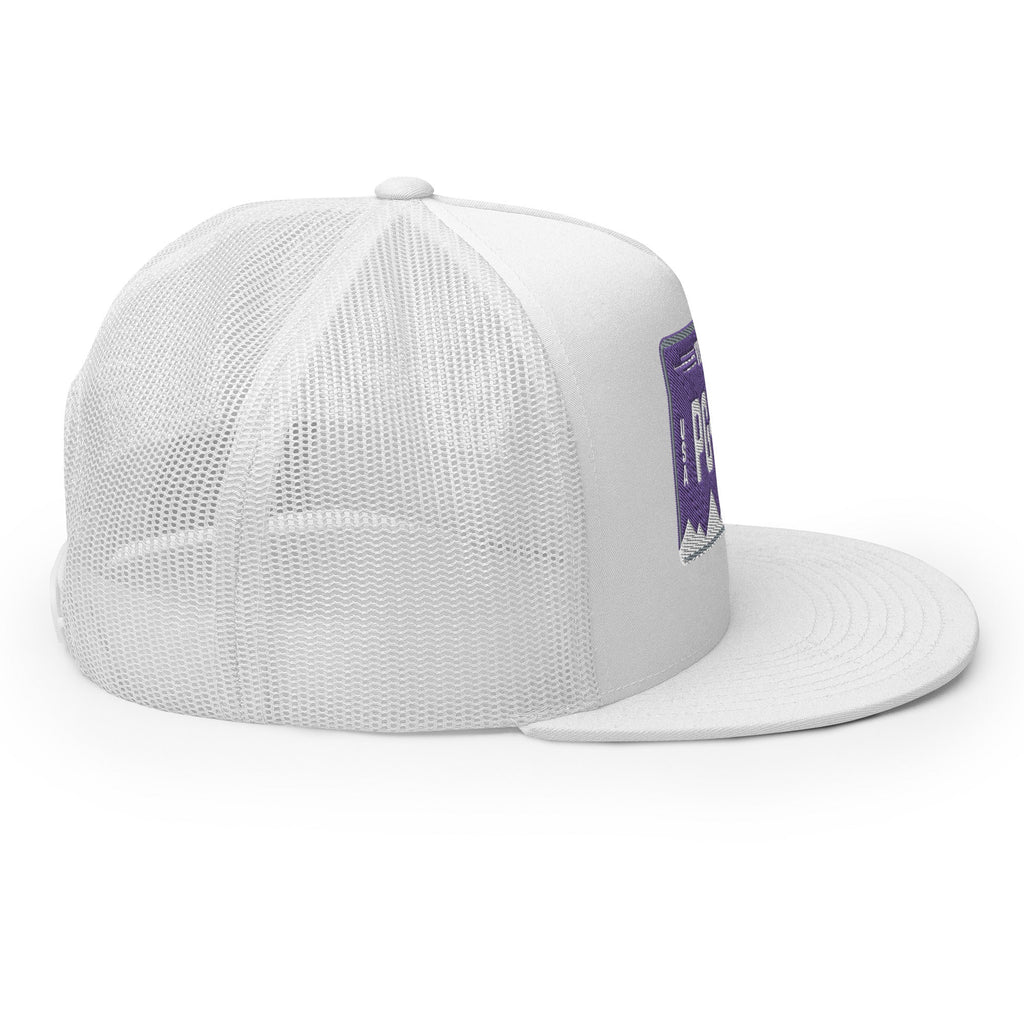 Virginia License Plate Hat