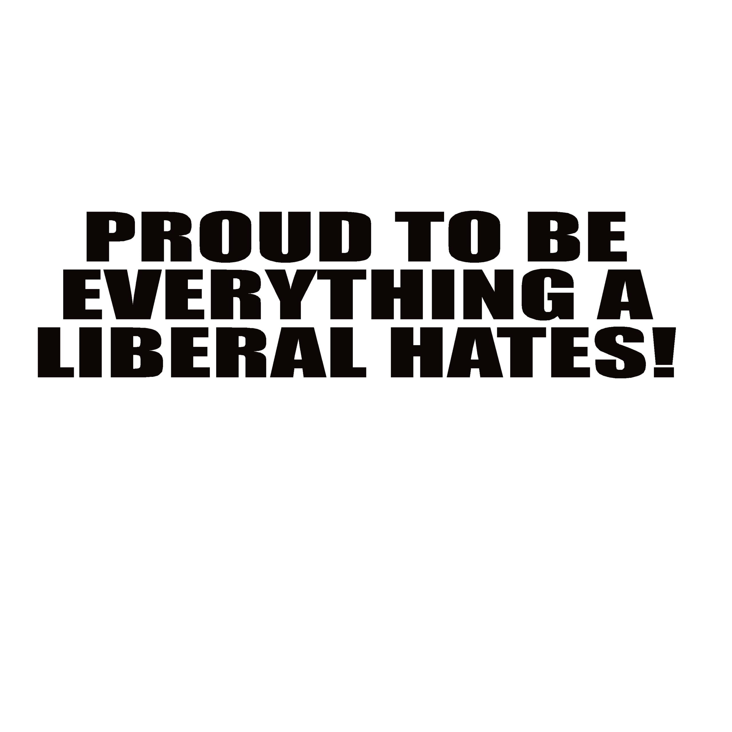 Conservative Decal - Proud to Be Everything a Liberal Hates – Political Vinyl Sticker – 7410