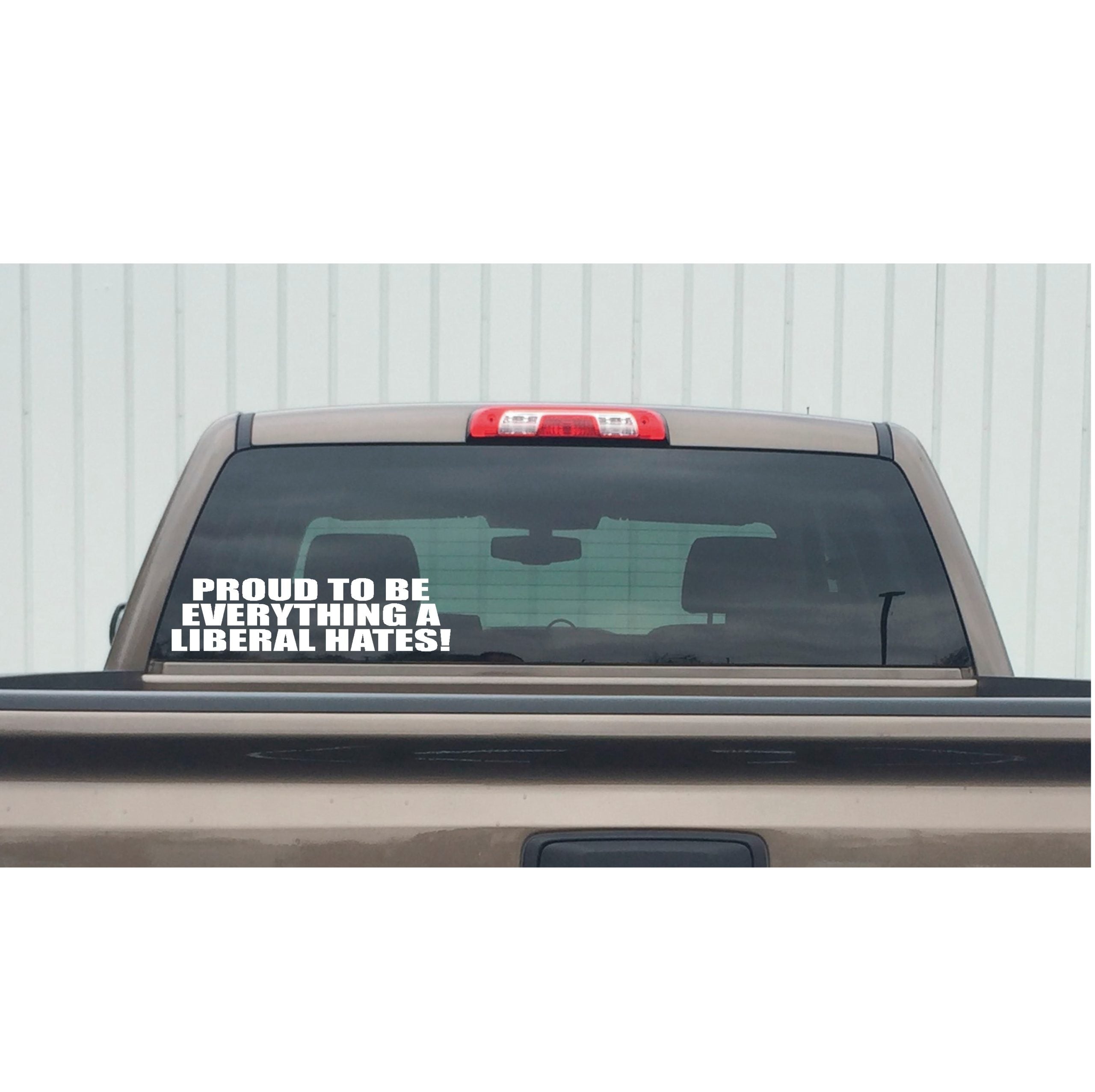 Conservative Decal - Proud to Be Everything a Liberal Hates – Political Vinyl Sticker – 7410
