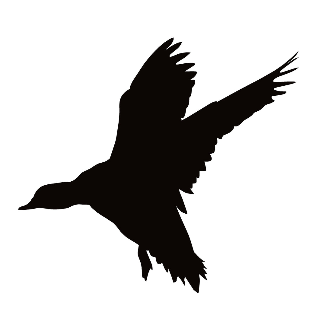 Widgeon Landing Window Decal -Widgeon Landing Window Sticker - 7511