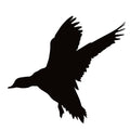 Widgeon Landing Window Decal -Widgeon Landing Window Sticker - 7511