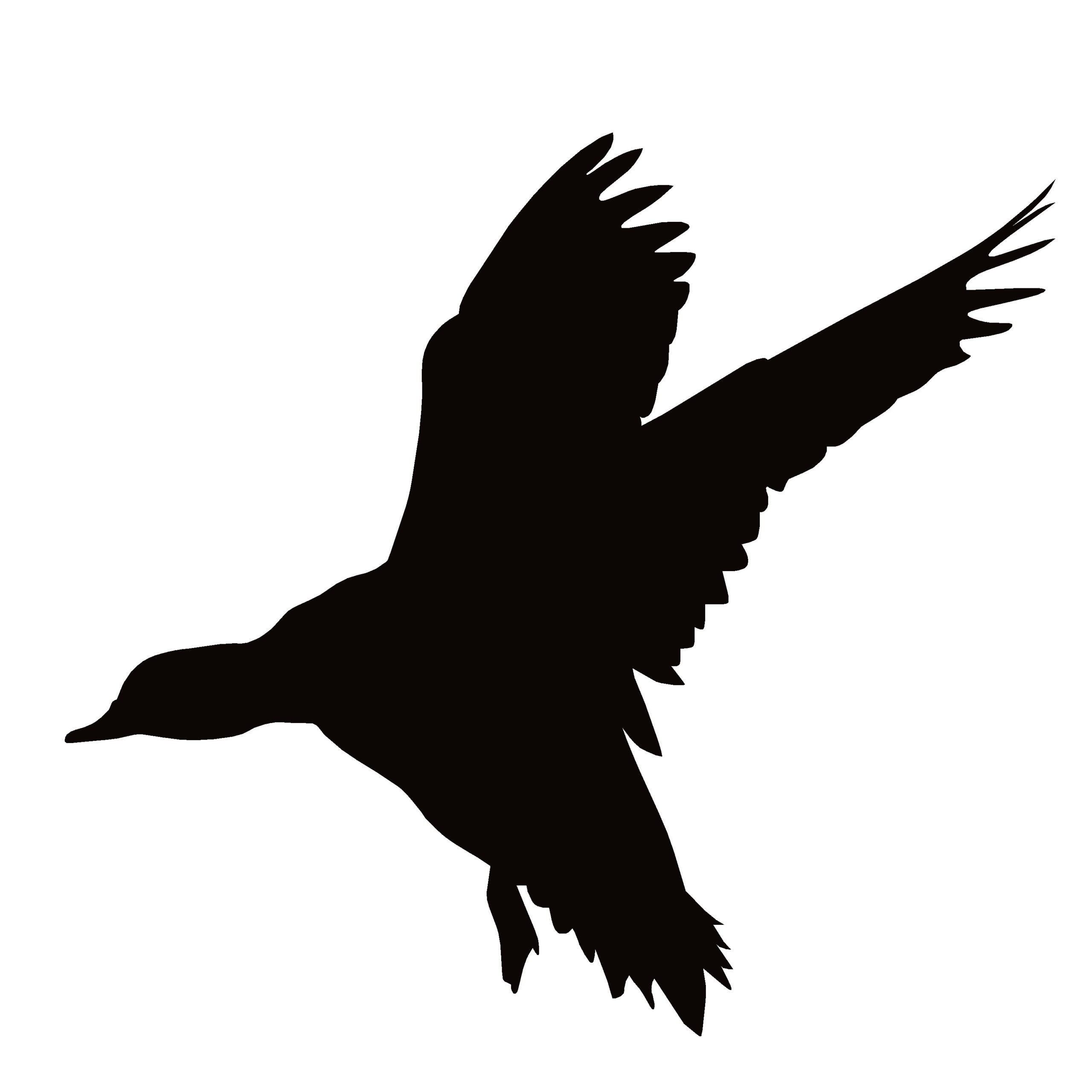 Widgeon Landing Window Decal -Widgeon Landing Window Sticker - 7511