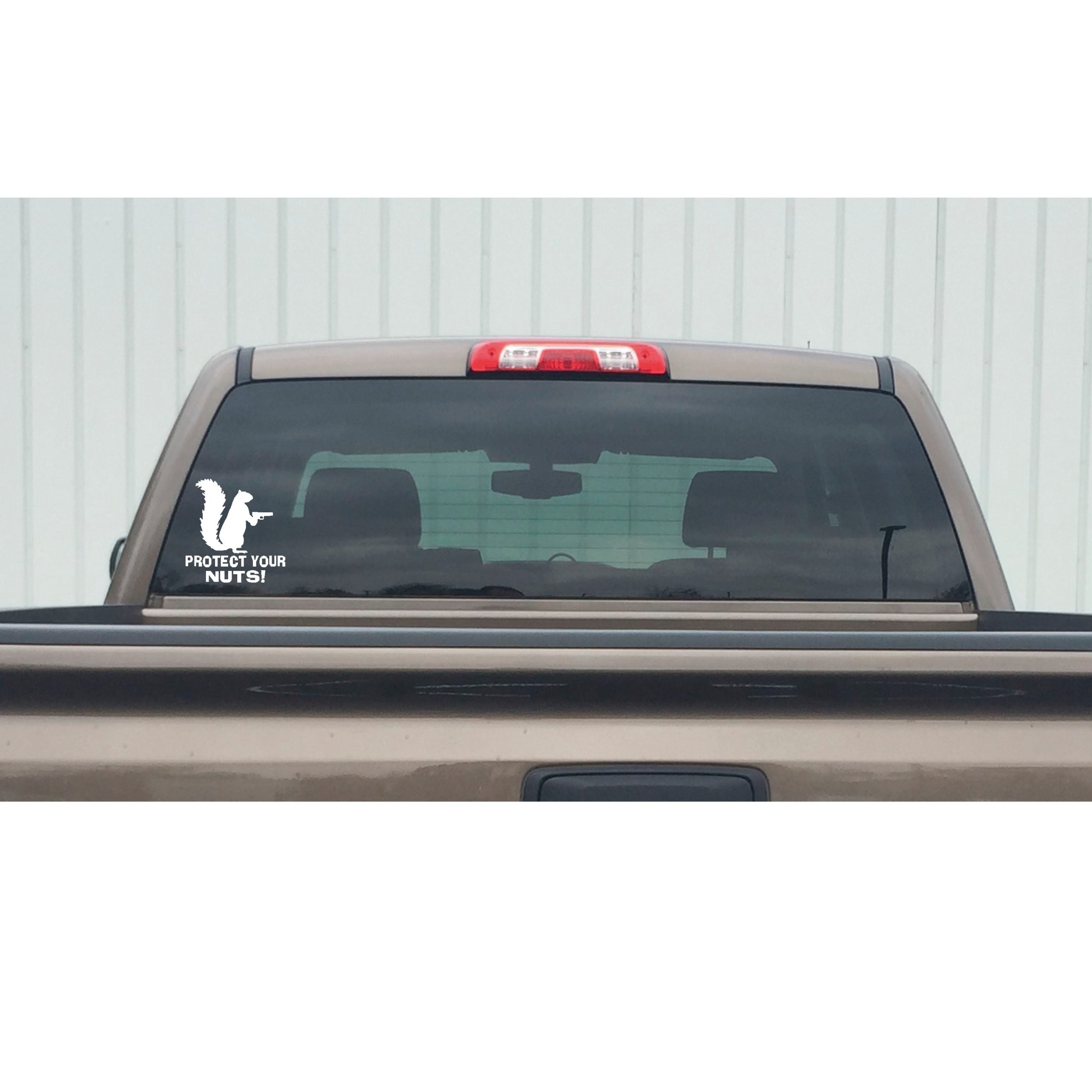 Squirrel Decal - Protect Your Nuts Squirrel Decal – Funny Gun Sticker - 7539