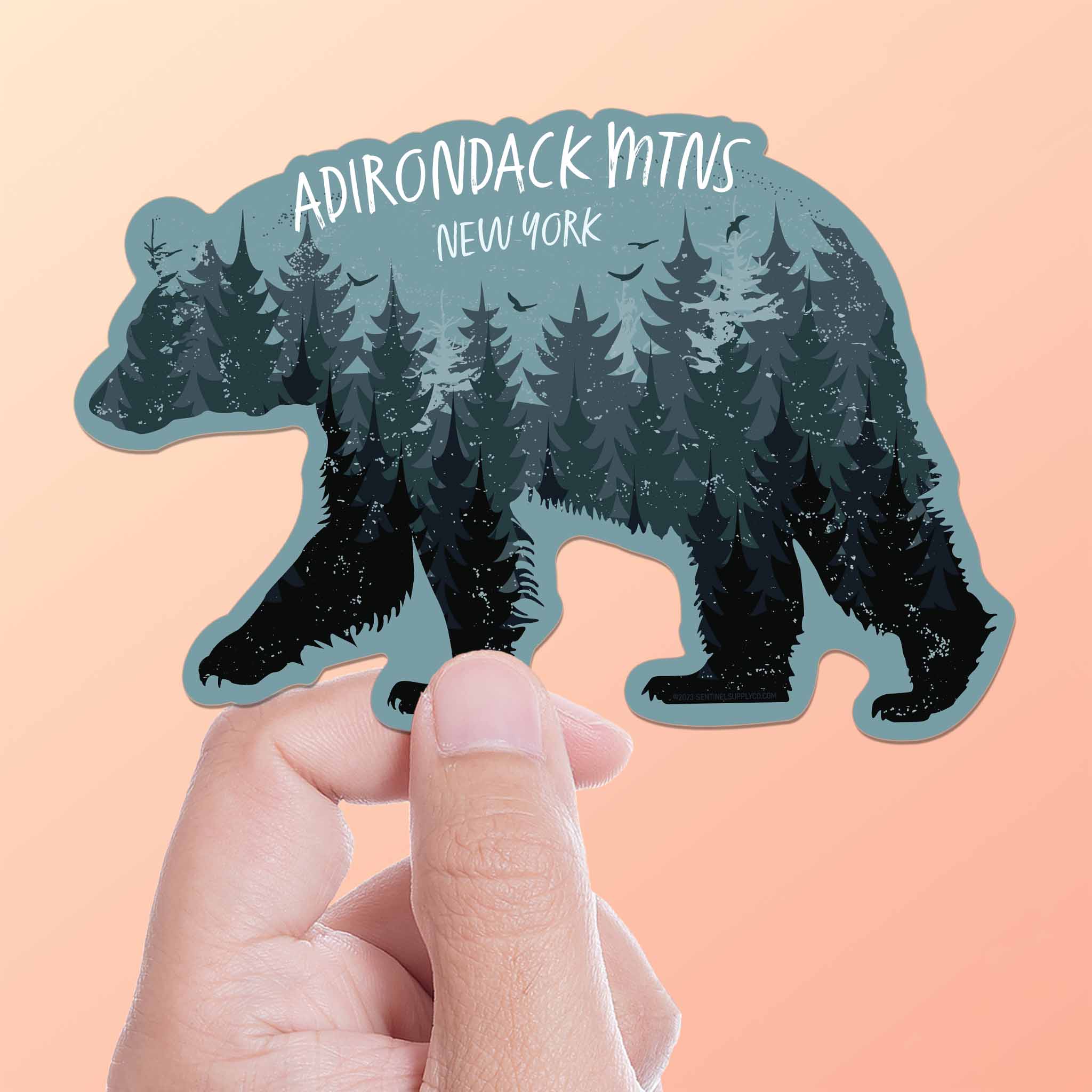 Black Bear Adirondack Mountains New York Sticker