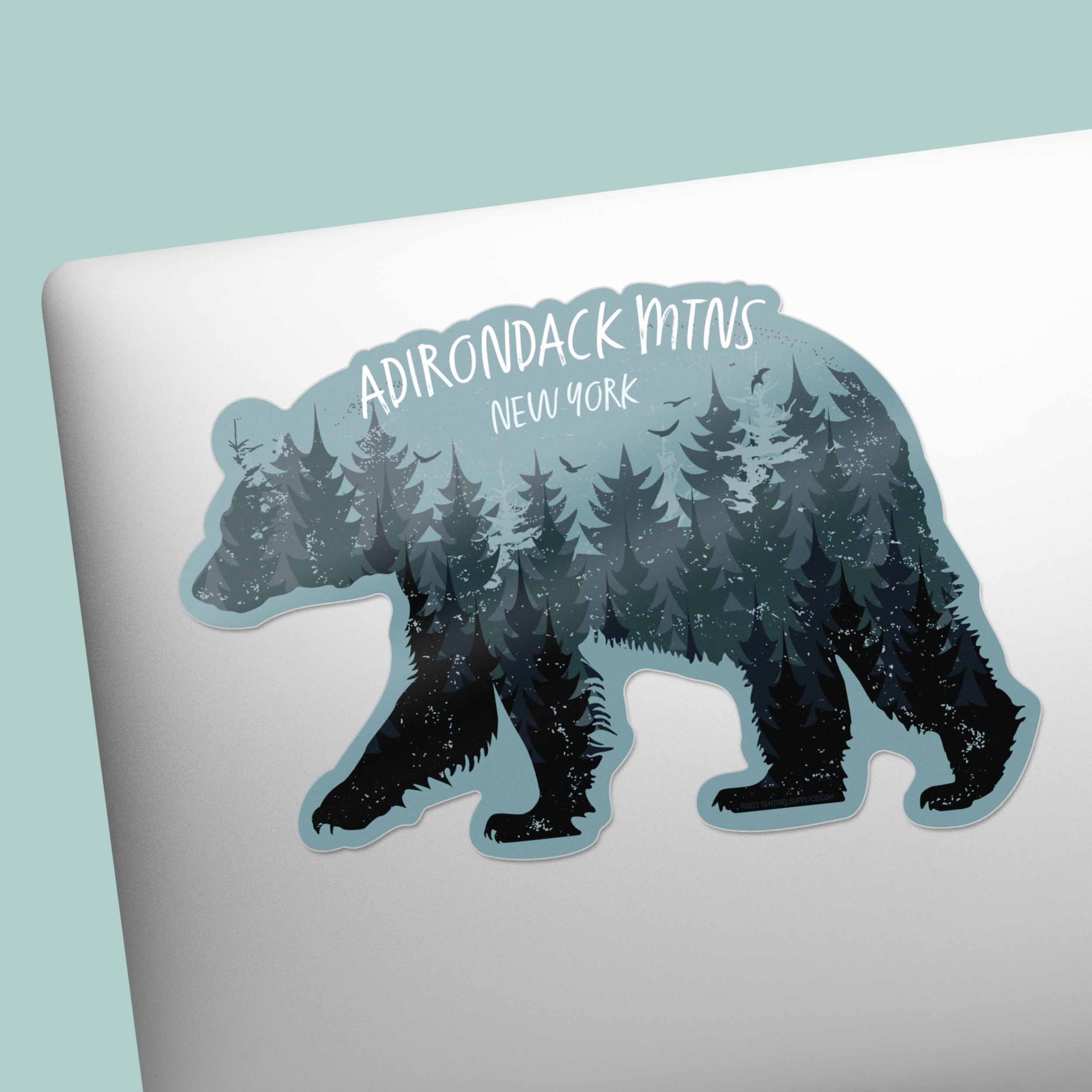 Black Bear Adirondack Mountains New York Sticker
