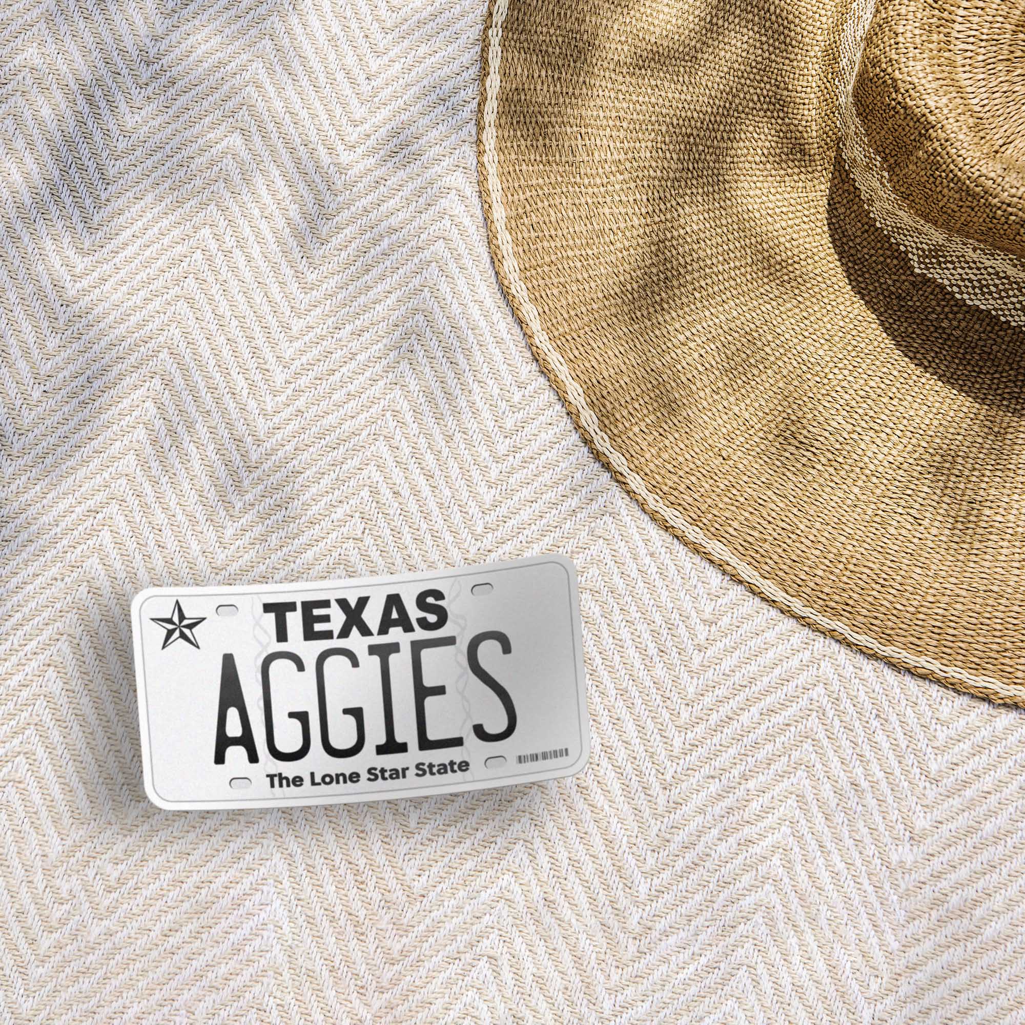 Texas License Plate Sticker - Choose from 50+ TX Cities