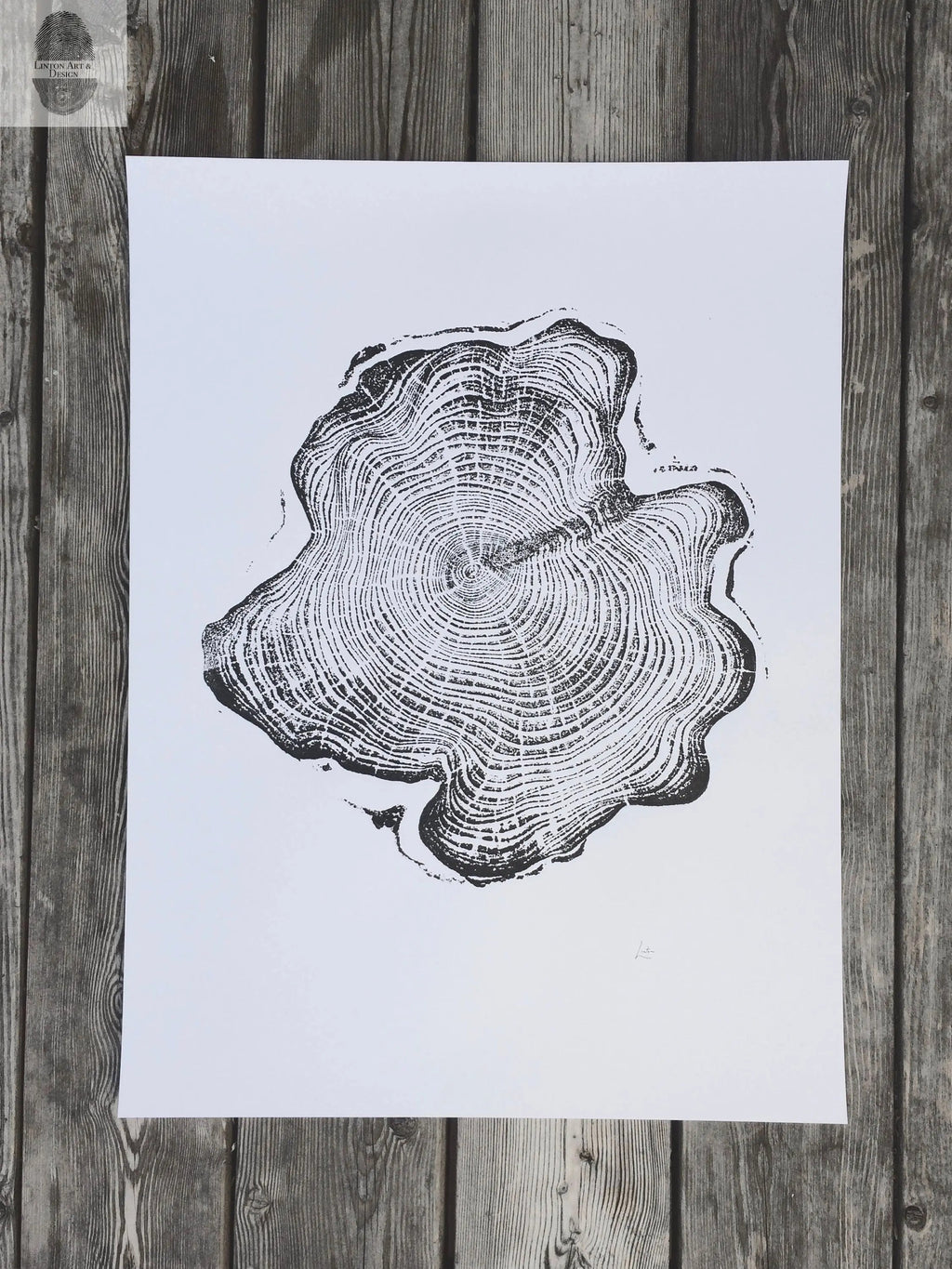 Alaska Cedar, Alaska Art, Denali, Lumber, Shabby Tree, Wood Burning Art, Wood Slice Wall Art