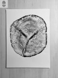 Alaska Cedar, Alaska Art, Denali, Shabby Tree, Tree Ring Print, Forager
