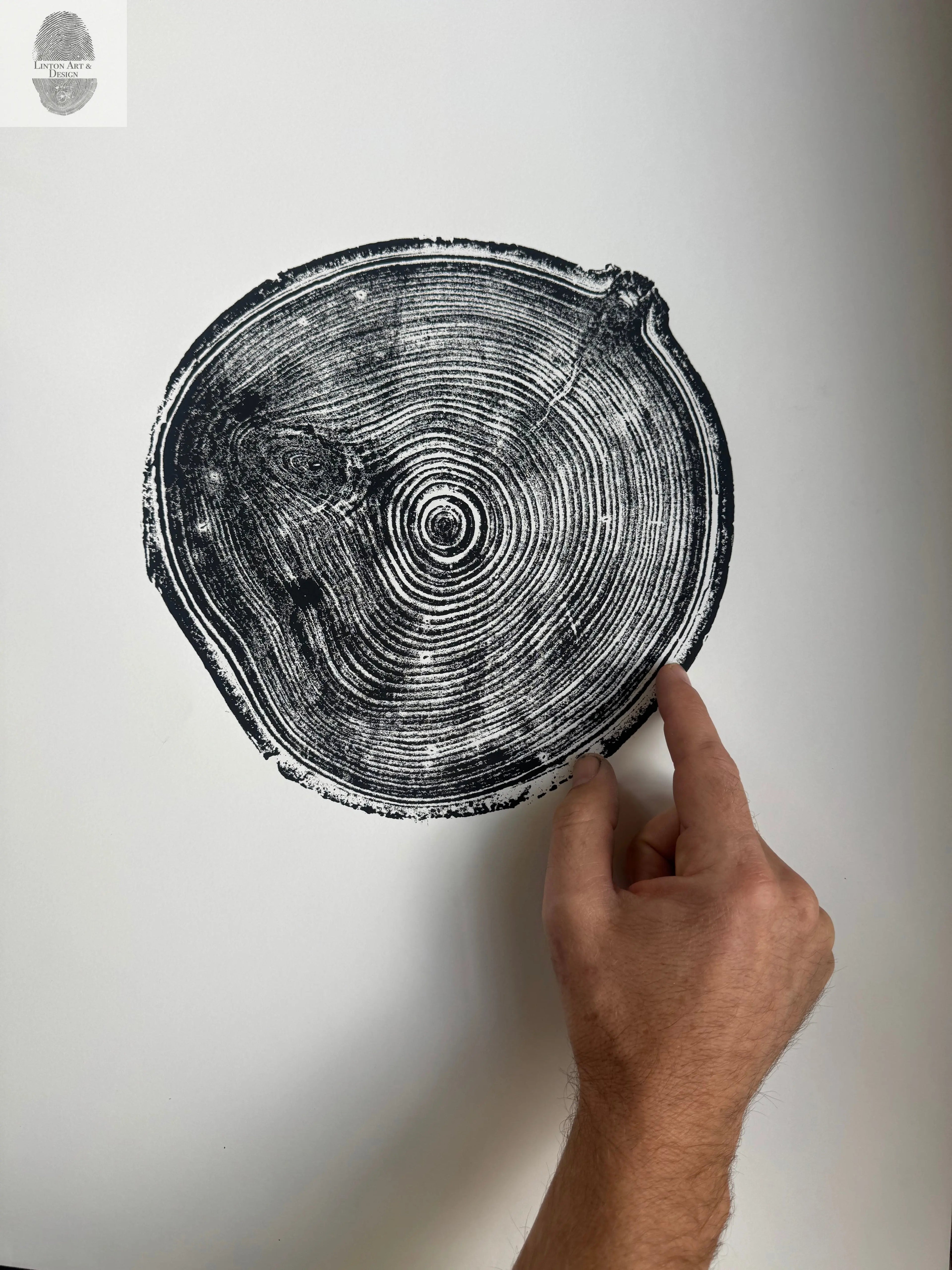 Aspen Tree Ring Print – Carson, New Mexico – 18x24 Original Signed Woodcut