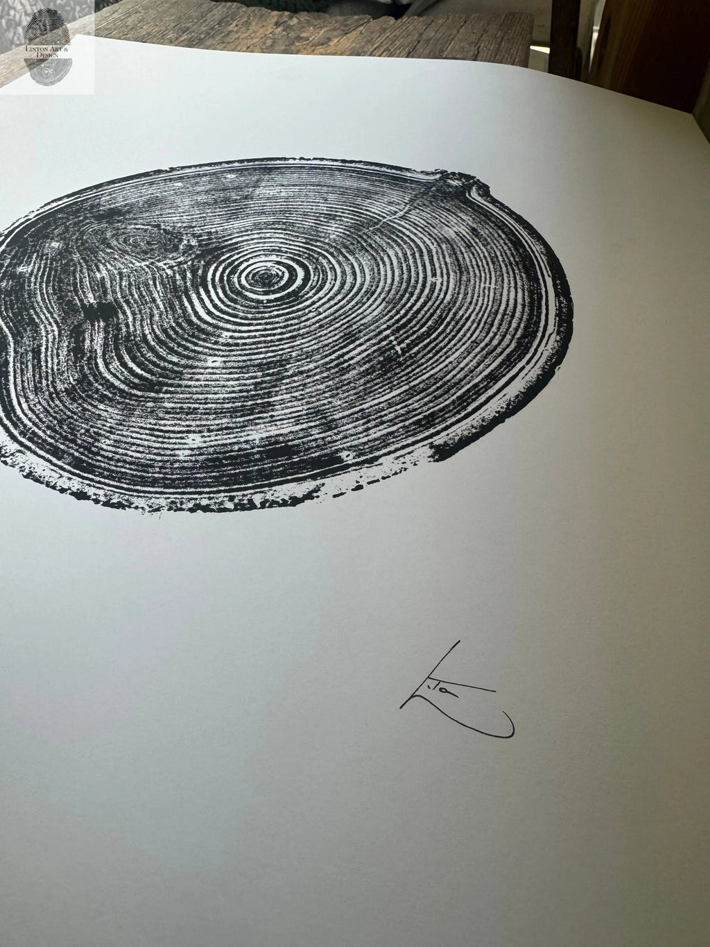 Aspen Tree Ring Print – Carson, New Mexico – 18x24 Original Signed Woodcut