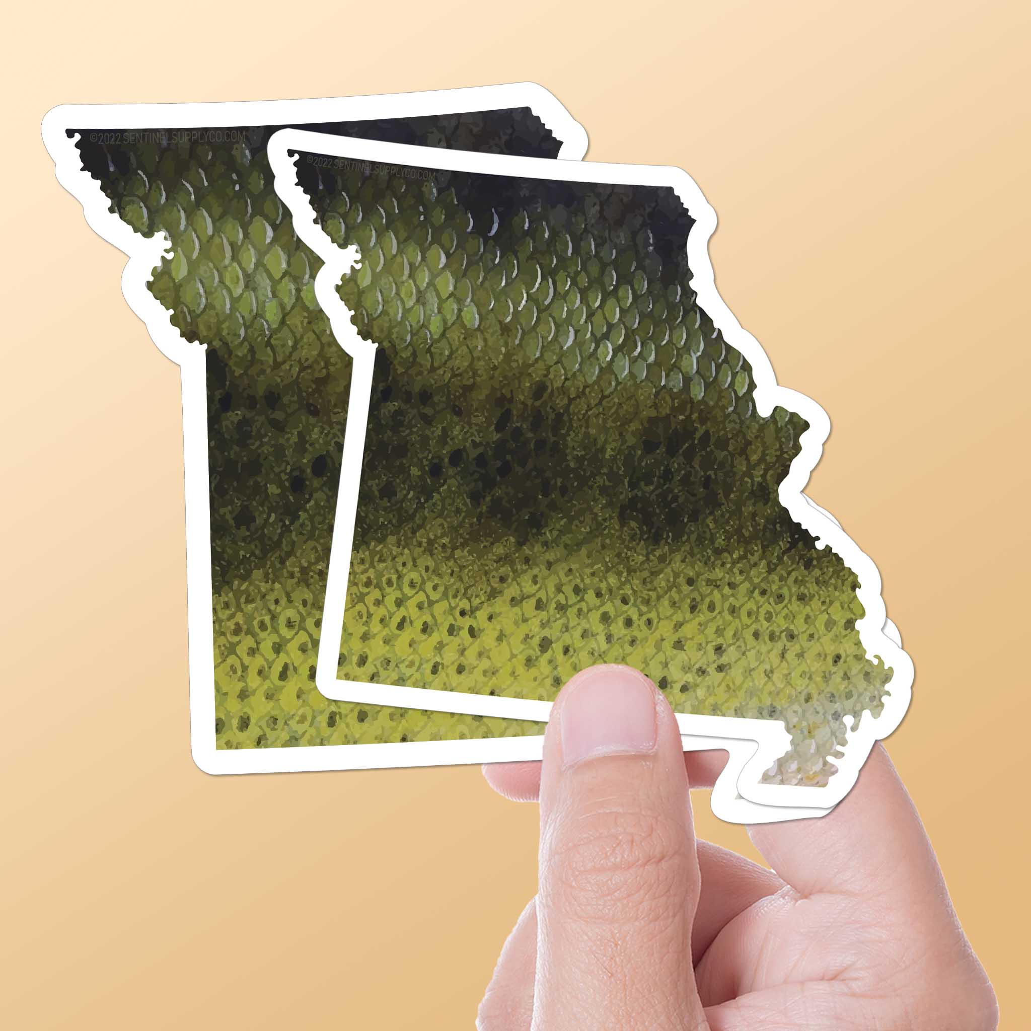 Largemouth Bass Missouri Fishing Sticker