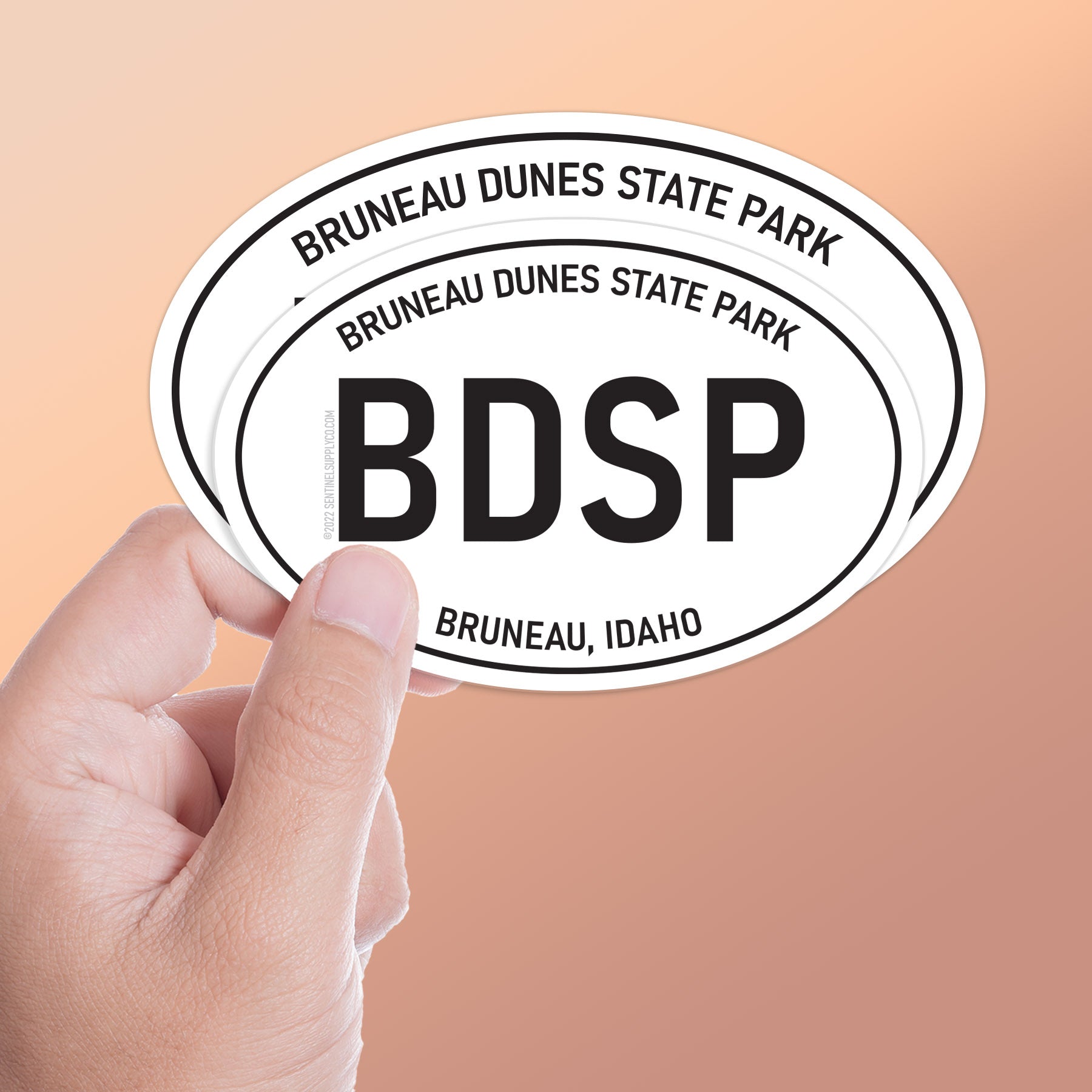 White Oval Bruneau Dunes Idaho Sticker
