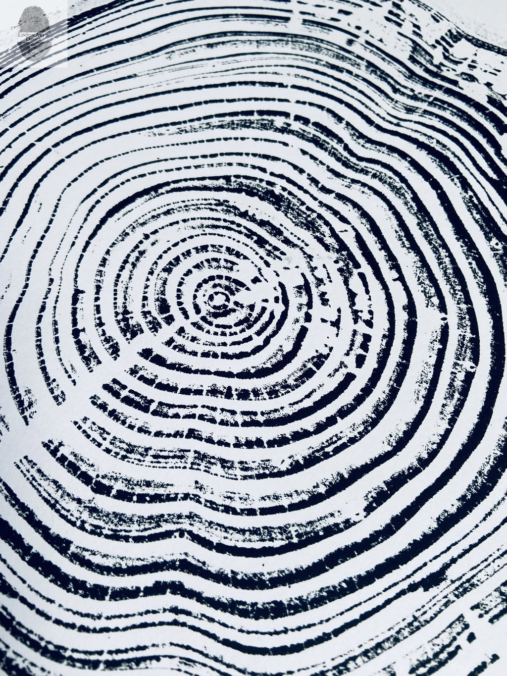 California Redwood, San Francisco, 30 years, 18x24 inch print, hand pressed print, tree ring art, wood slice, wedding tree, Woodcut print, by Erik Linton