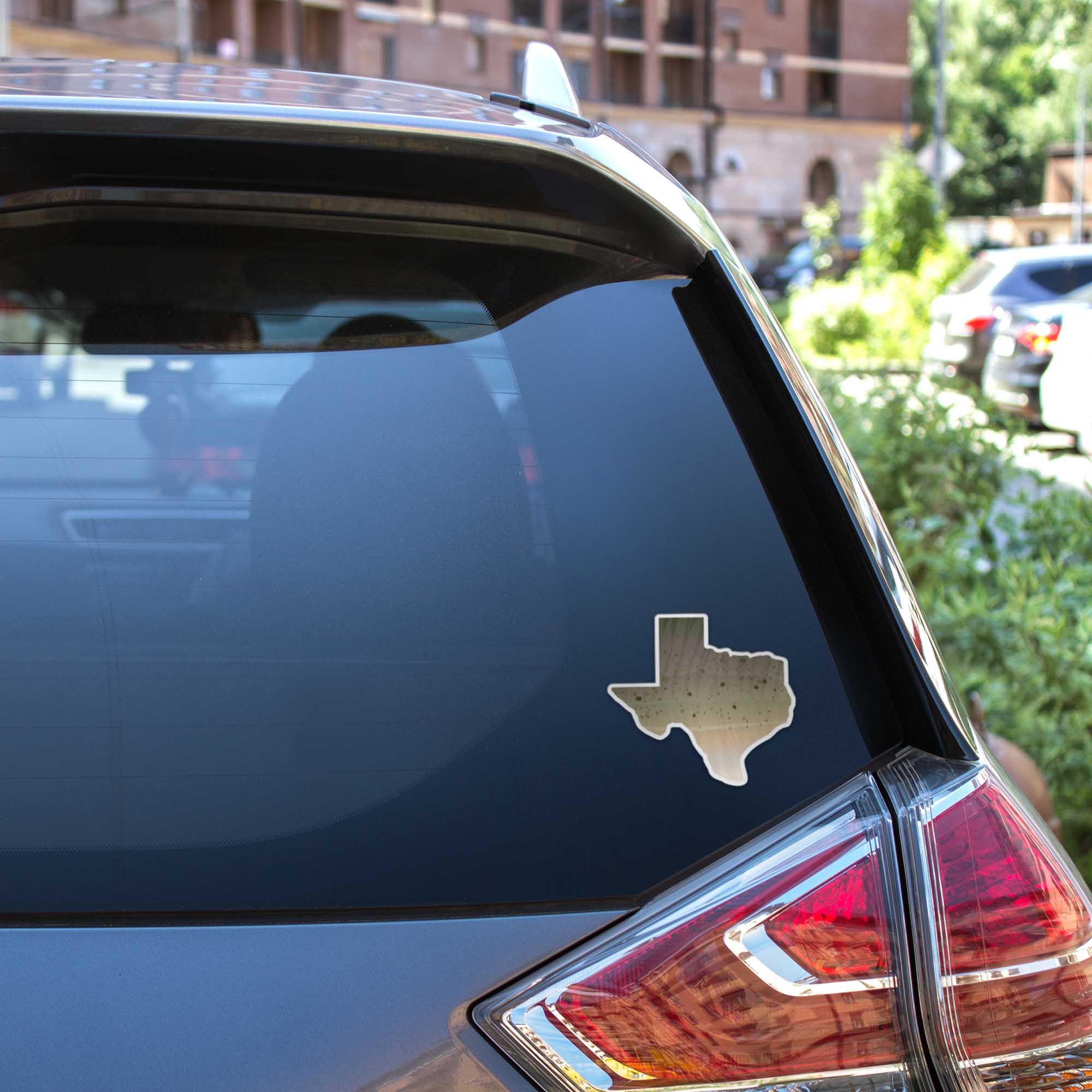 Catfish Texas Fishing Sticker