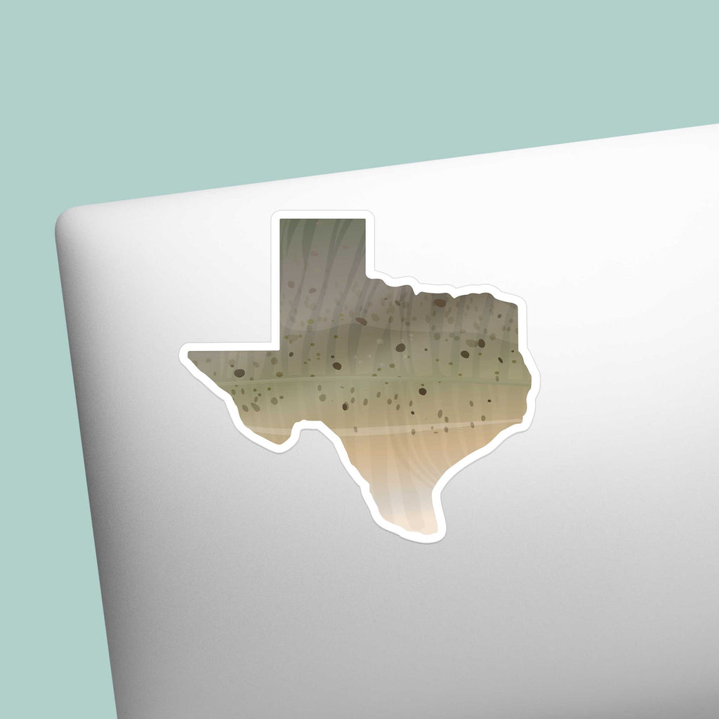 Catfish Texas Fishing Sticker