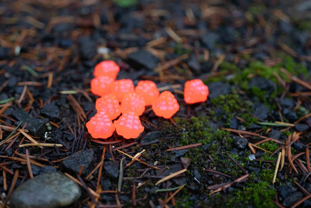 VIP Outdoors Soft Cluster "Salmon Haze"  15mm - 10 Pack