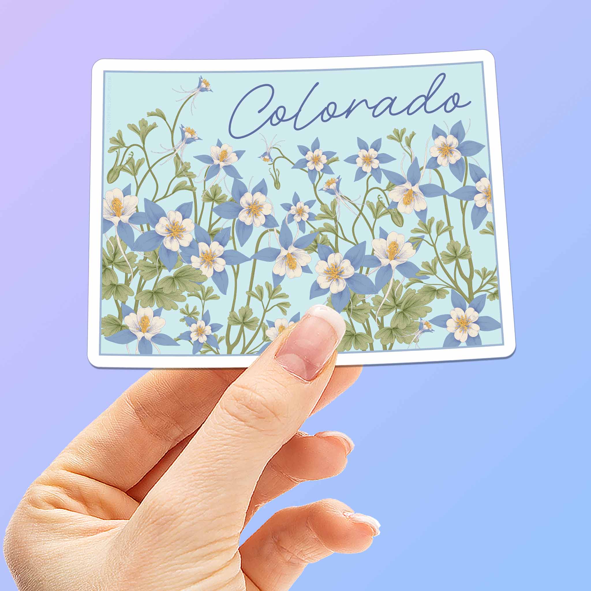 Columbine Flower Colorado Map Sticker