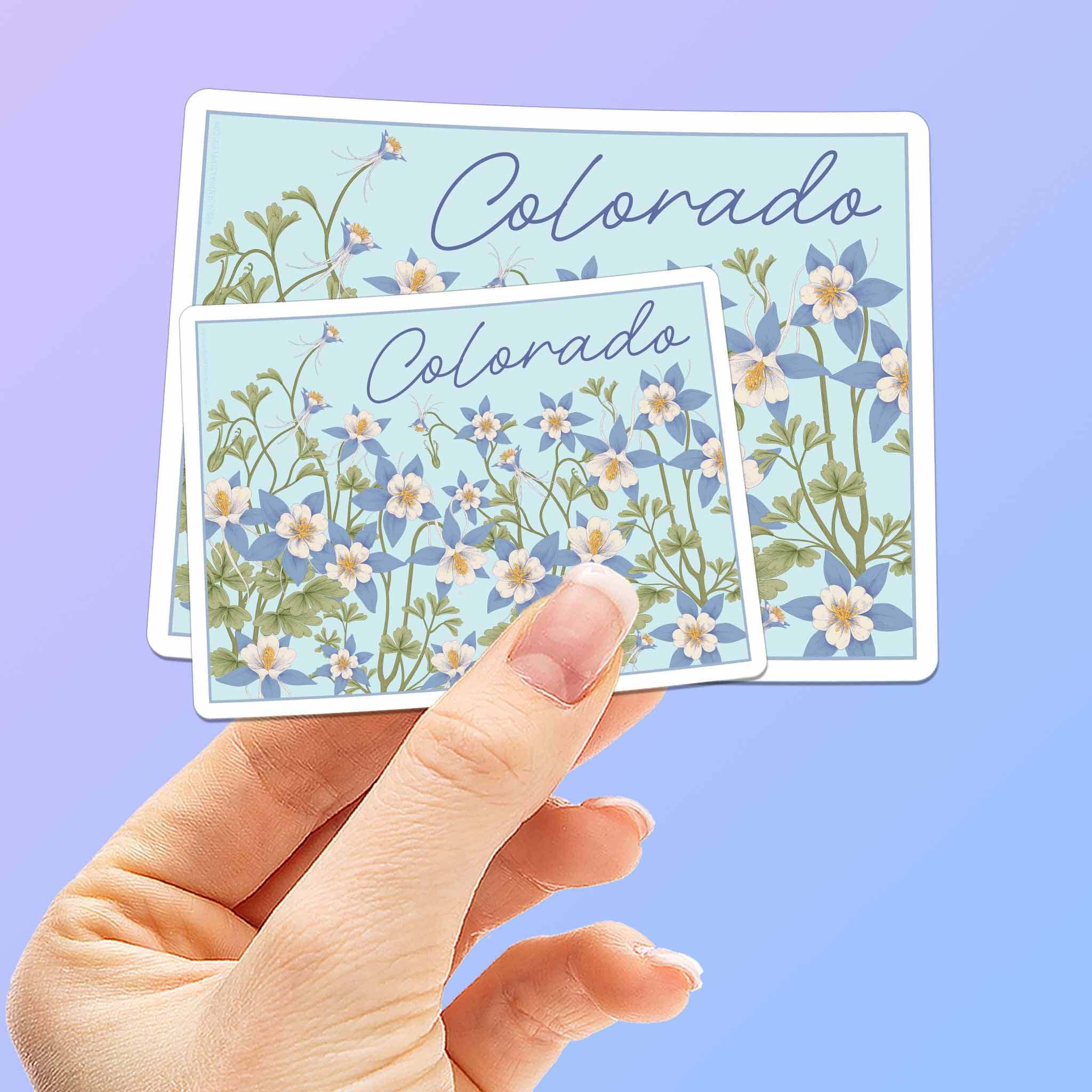 Columbine Flower Colorado Map Sticker