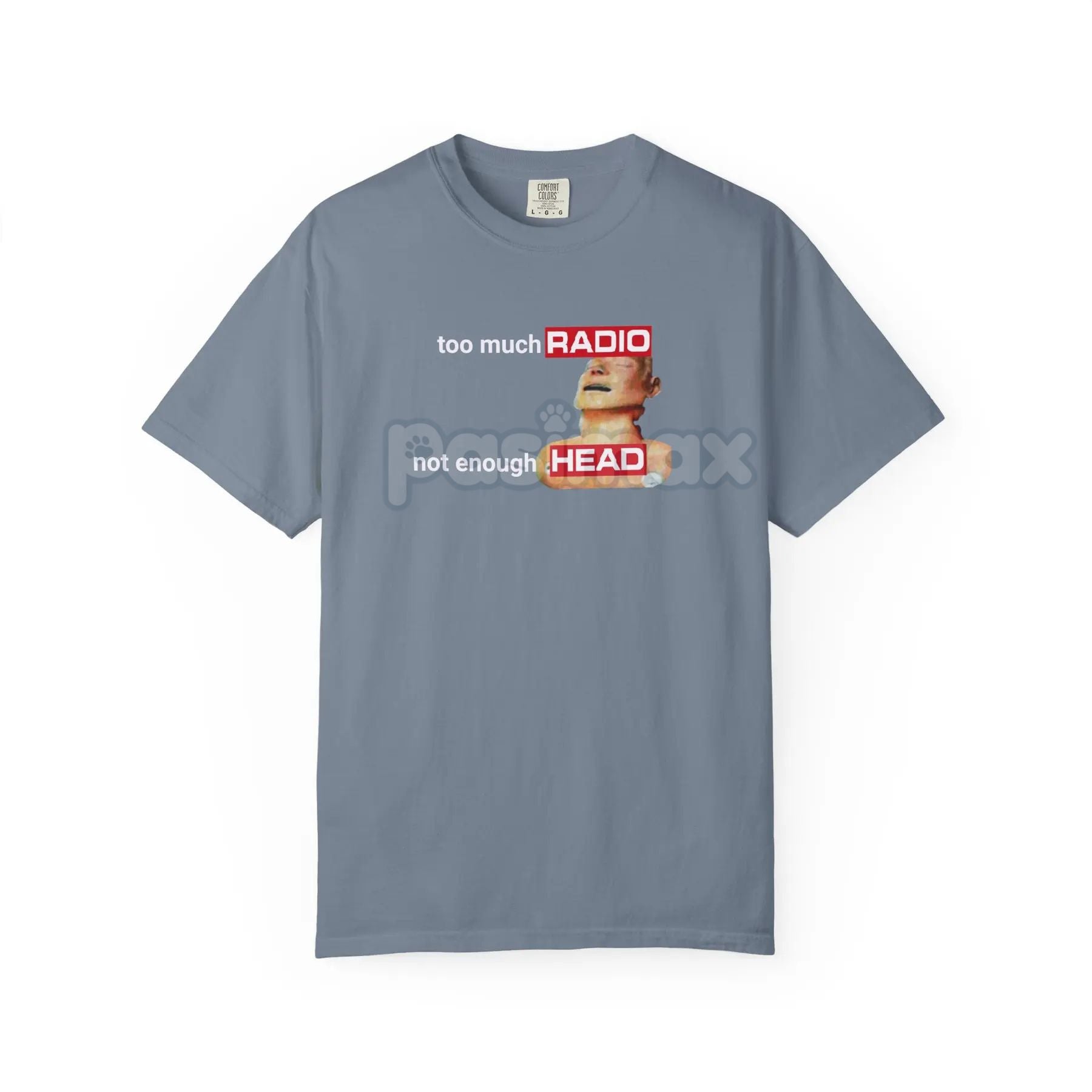 Comfort Colors 'Too Much Radio, Not Enough Head' Shirt – Vintage Audio Critic Tee, Classic Rock Nostalgia, Authentic Music Fan Gift