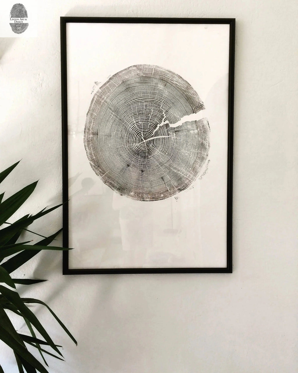 Crater Lake art, Oregon Print, Tree ring print, Woodcut print, Wood Wall art, Sacred Geometry, Forestry, National Parks, Signed Original