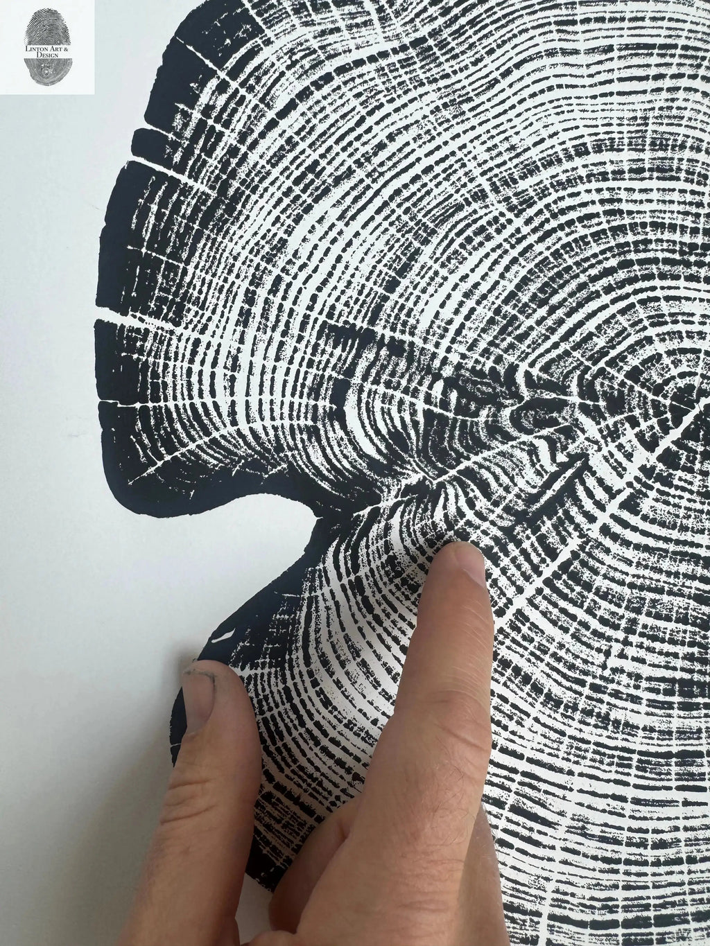 Cedar Tree Ring Print – Reno County, Kansas – 18x24 Original Signed Woodcut