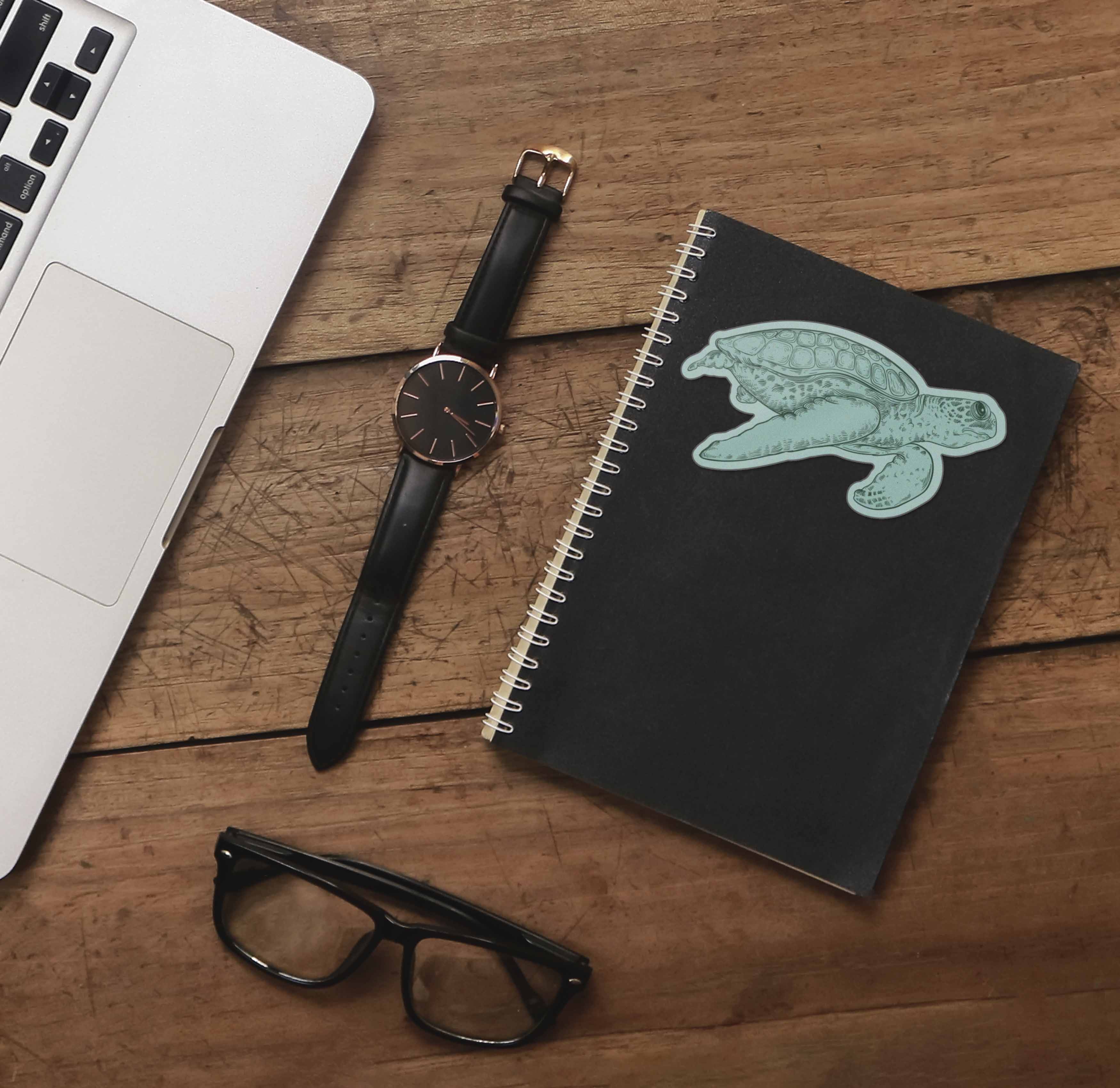 Green Sea Turtle Sticker