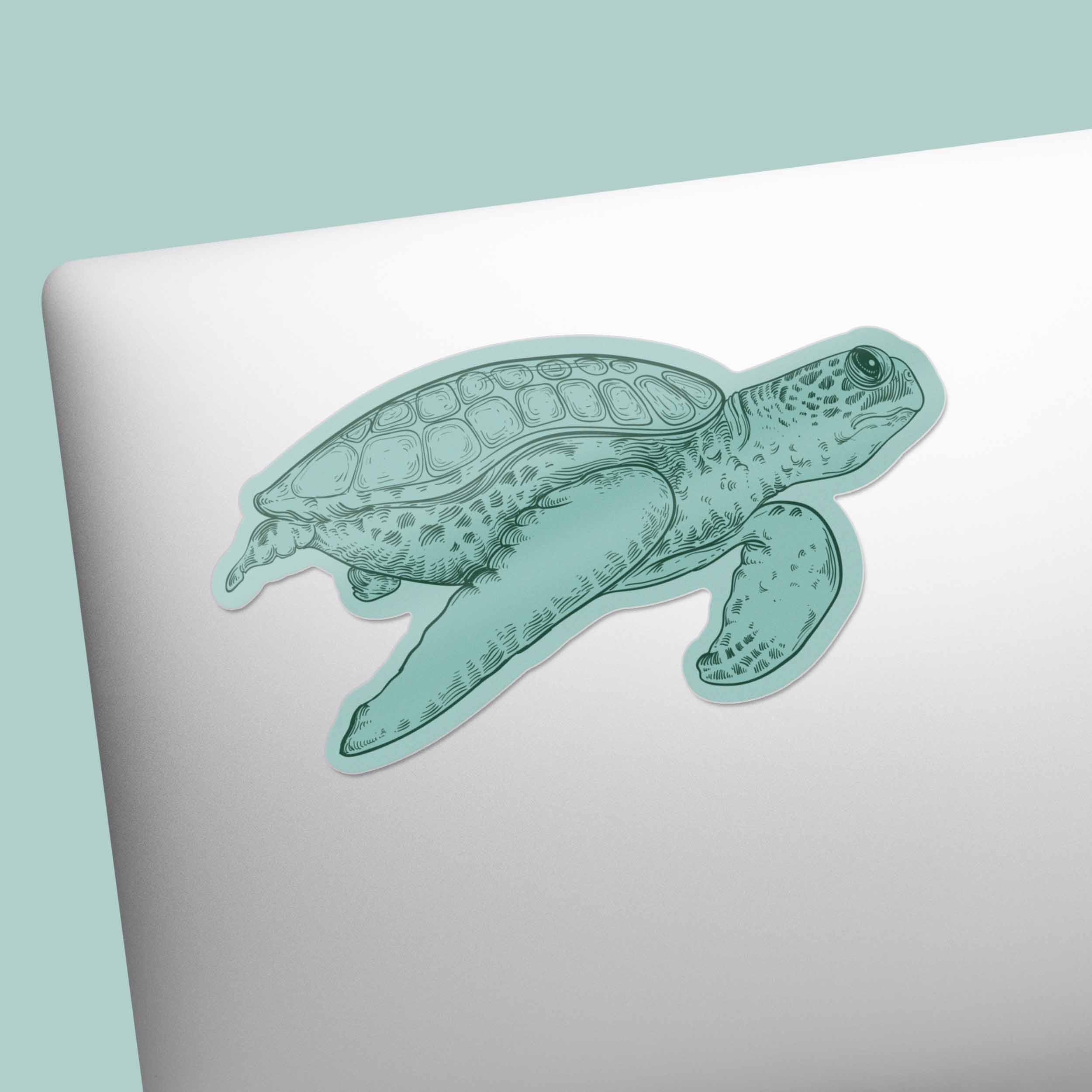 Green Sea Turtle Sticker