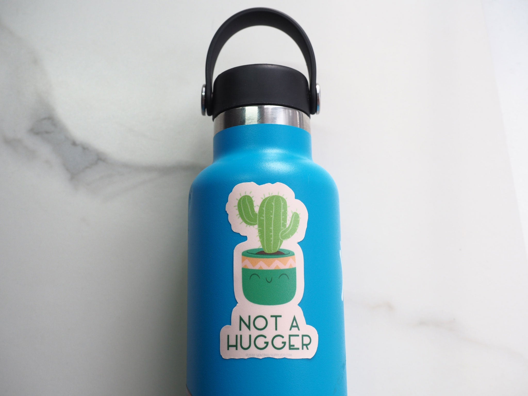 Free Hugs Cute Cactus Sticker