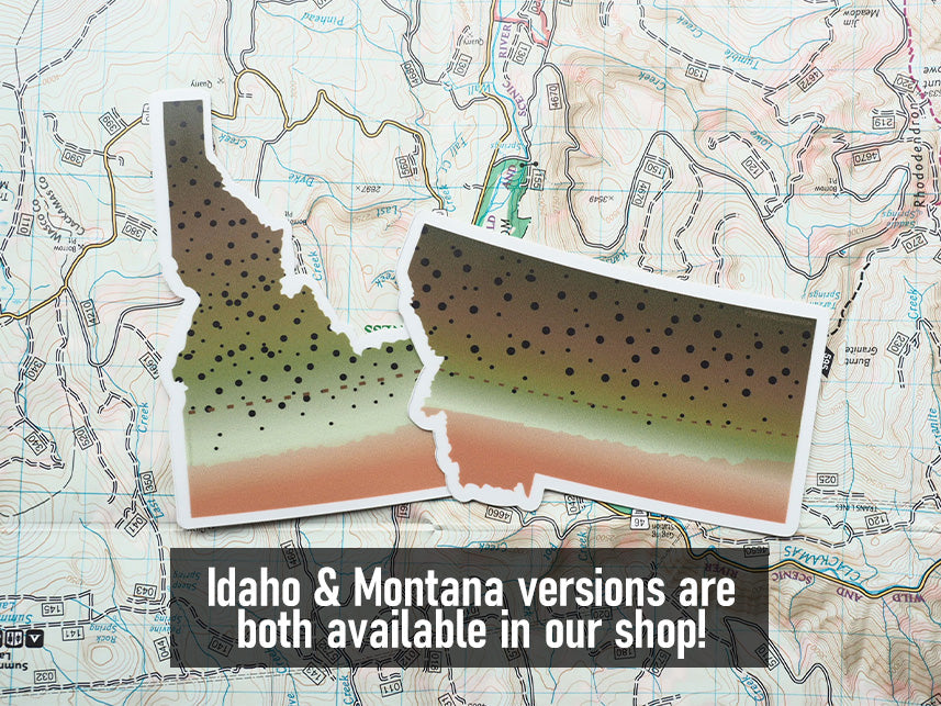 Cutthroat Trout Montana Fishing Sticker
