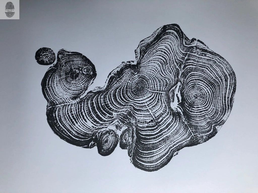 Cypress from Ireland, Tree ring art print, Tree stump print, first anniversary gift, 18x24 inch woodcut, fifth anniversary gift, Linton Art