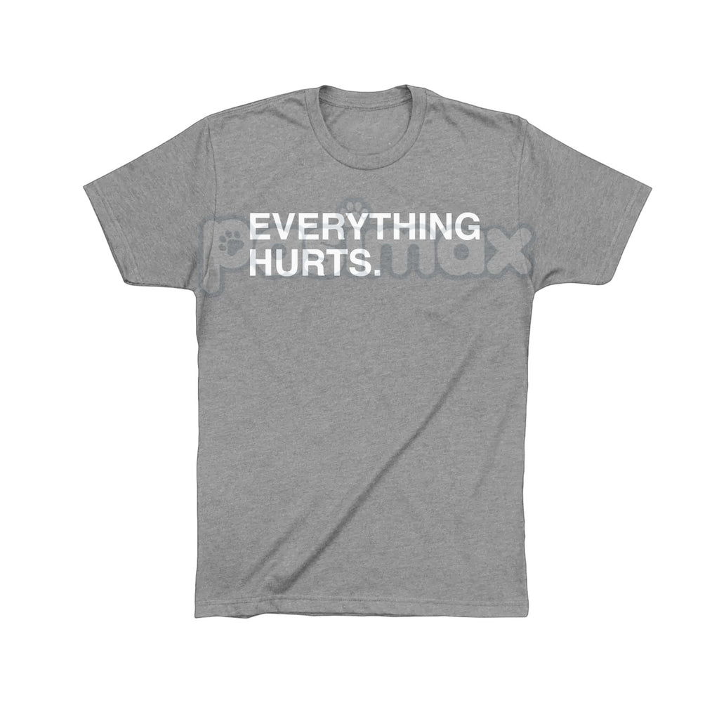 "EVERYTHING HURTS" Funny Graphic Tee - Workout & Chronic Pain Sarcastic Statement Shirt, Unisex Humor Apparel