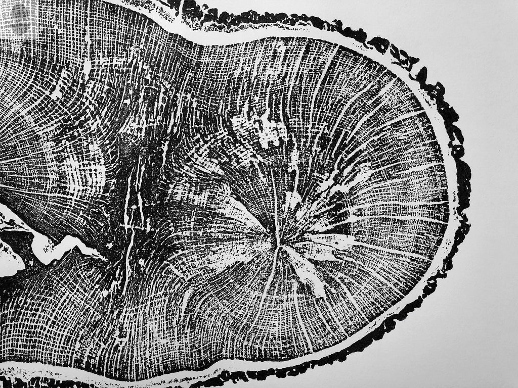 English Oak, Tree ring art print, Oak from Liverpool UK, Anniversary art, Tree ring art, Tree rings, Original Woodcut print by Erik Linton