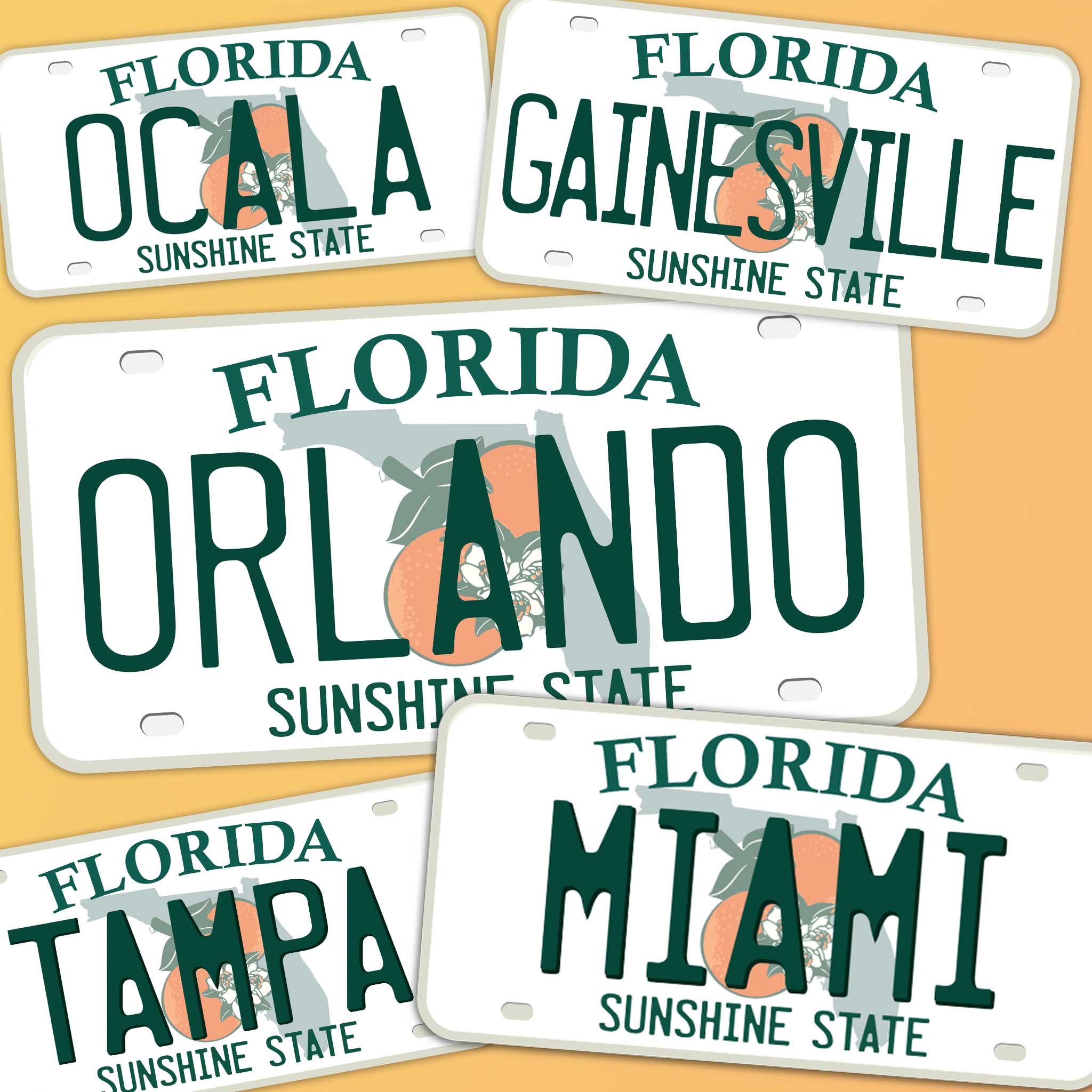 Florida License Plate Stickers - Choose Your FL City or National Park Decal