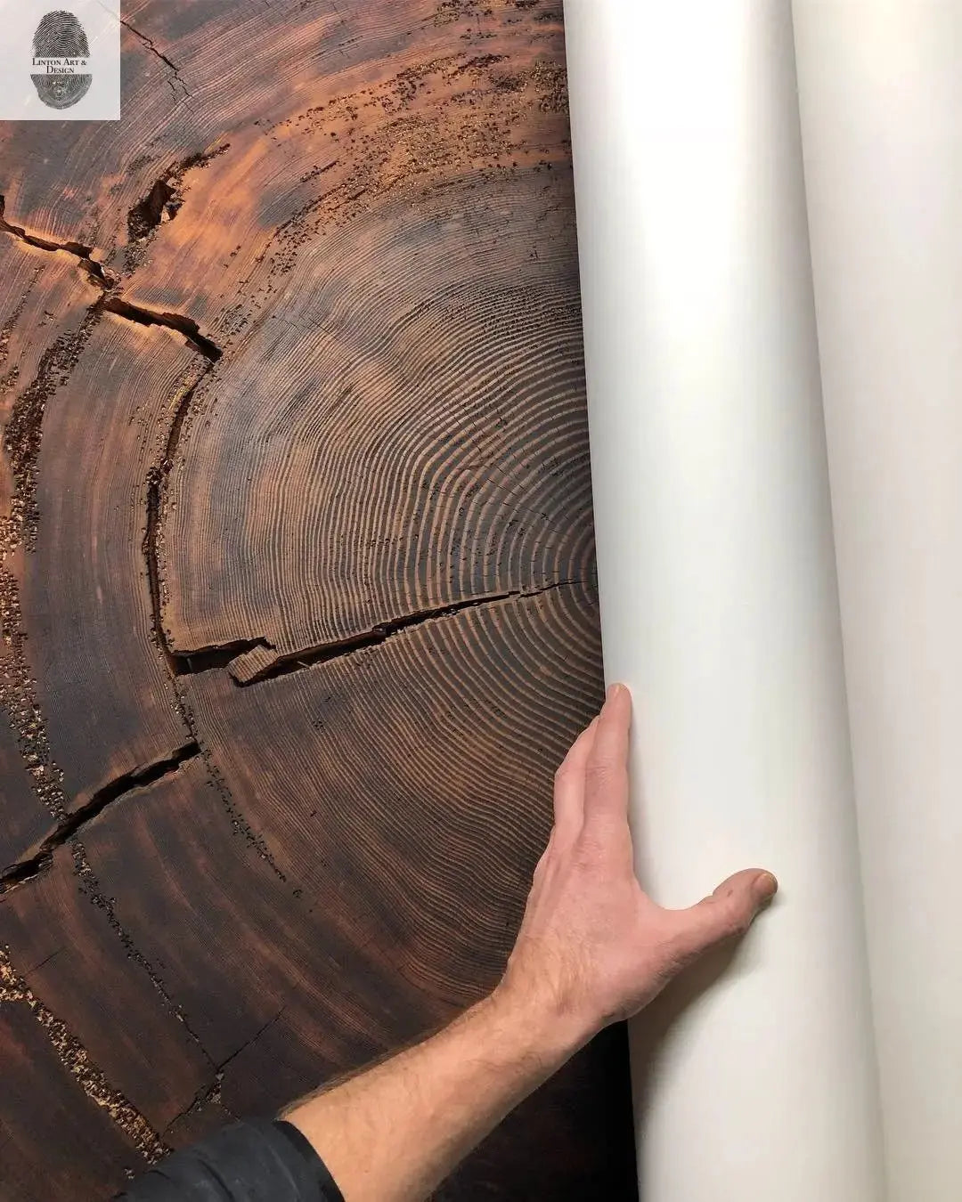 Oregon Coast Sitka Spruce - 52x60 - Tree Wall Art