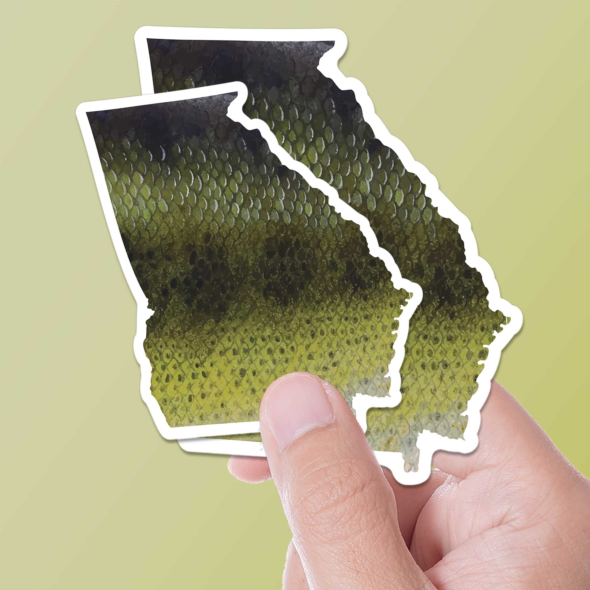 Largemouth Bass Georgia Sticker - GA Fishing Decal