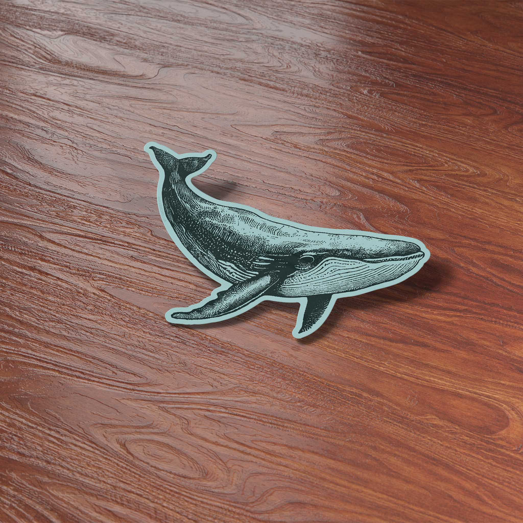 Humpback Whale Bumper Sticker