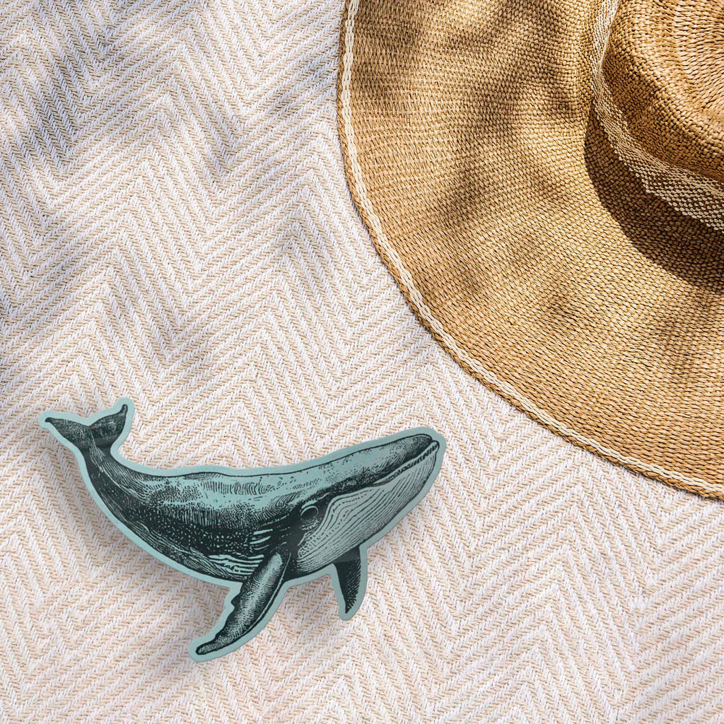 Humpback Whale Bumper Sticker