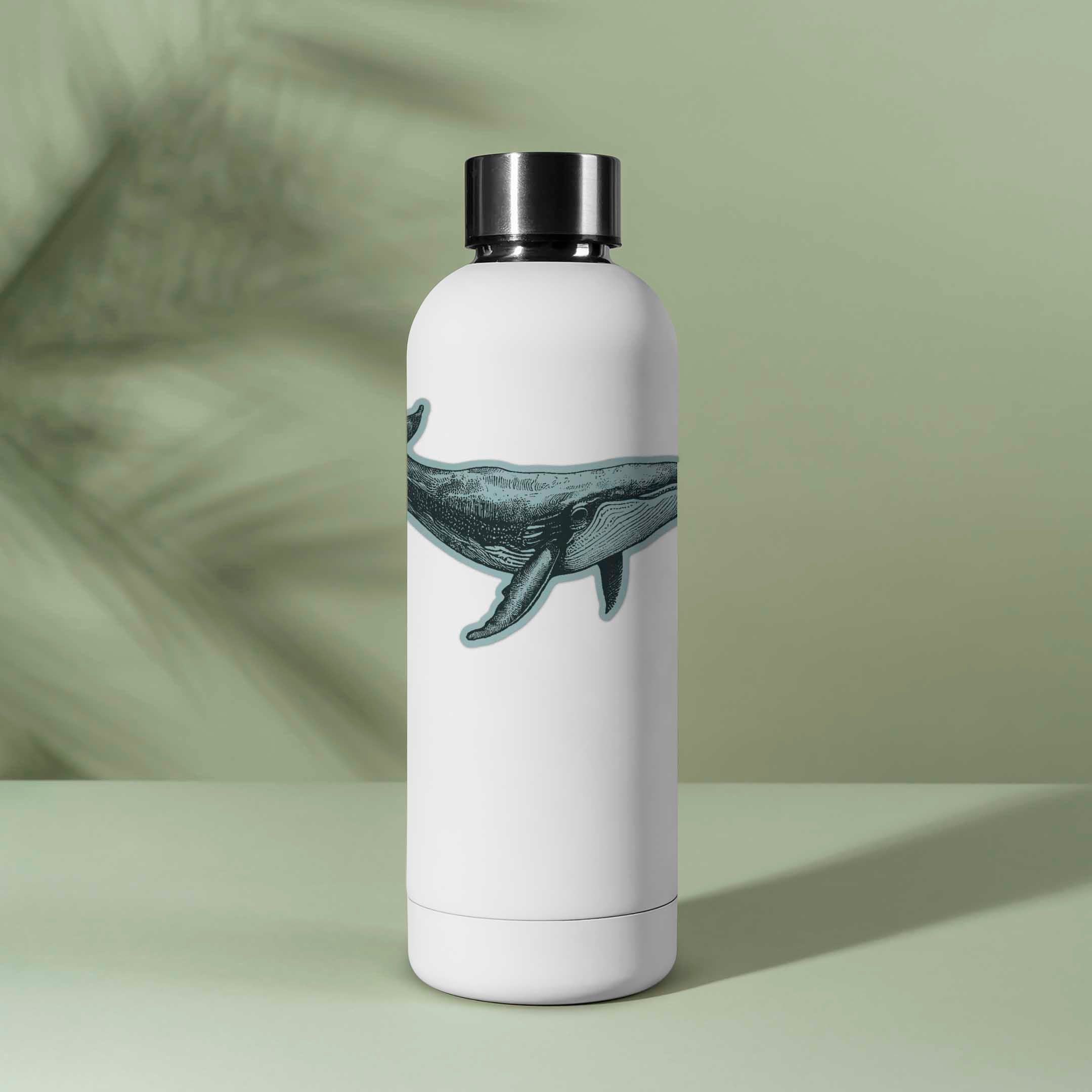 Humpback Whale Bumper Sticker