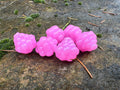 VIP Outdoors Soft Cluster "Sandy Pink"  22mm - 6 Pack