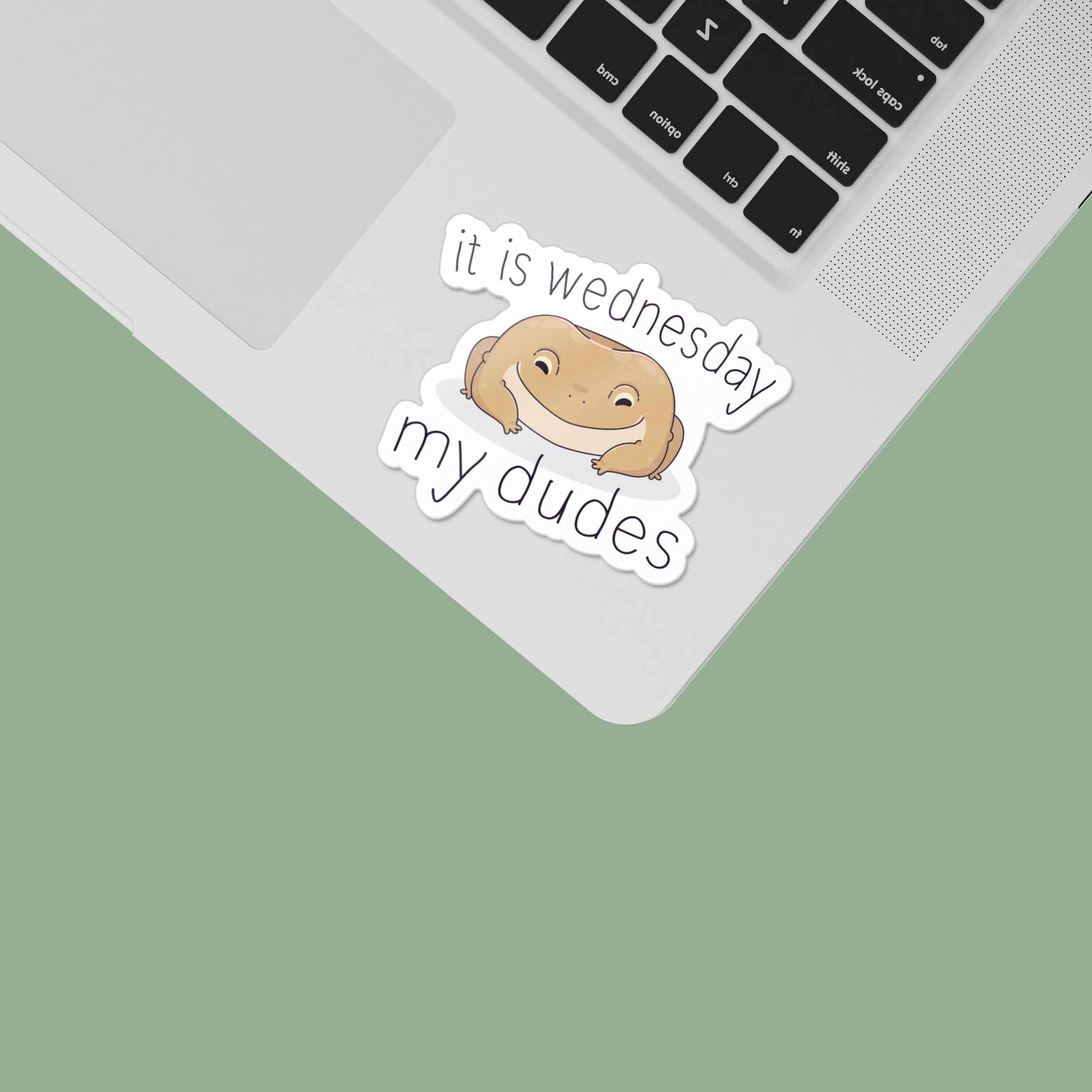 It is Wednesday My Dudes Funny Meme Sticker