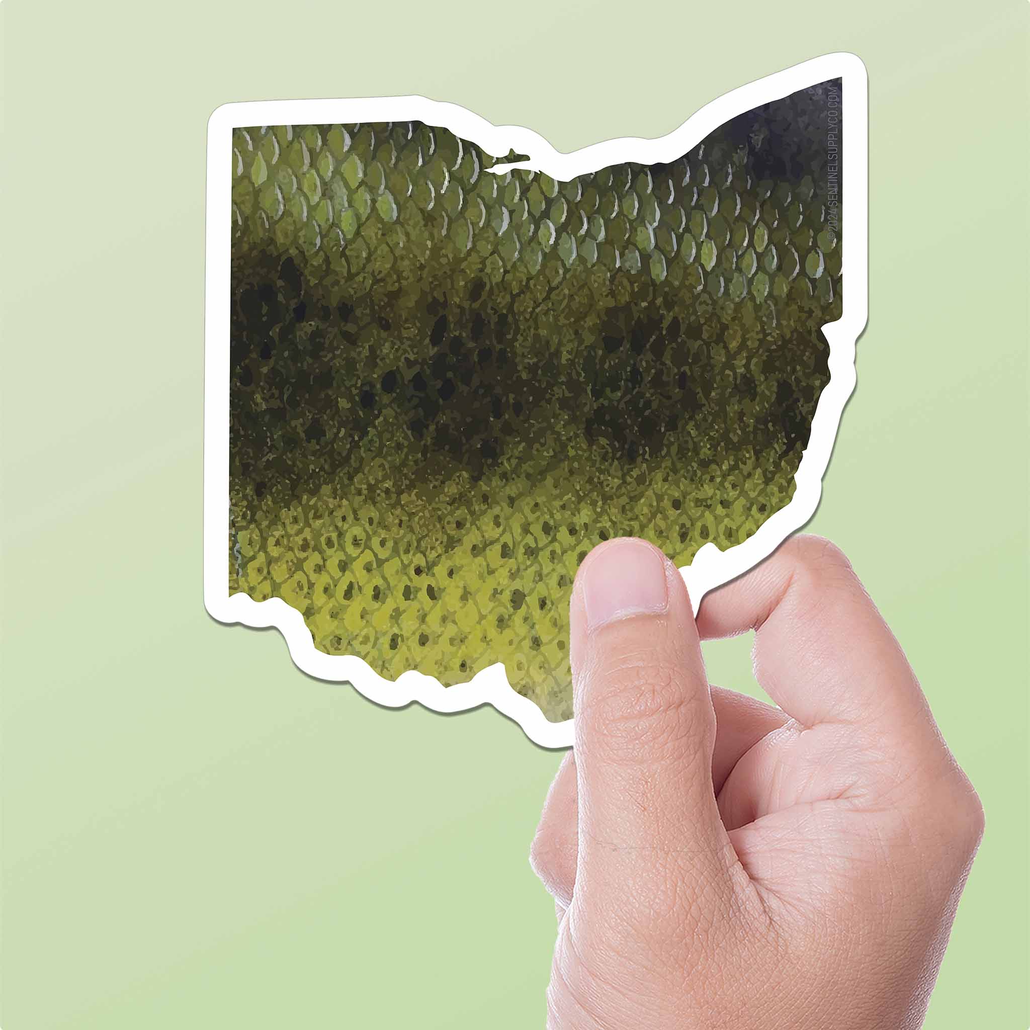 Largemouth Bass Ohio Sticker - OH Fishing Decal