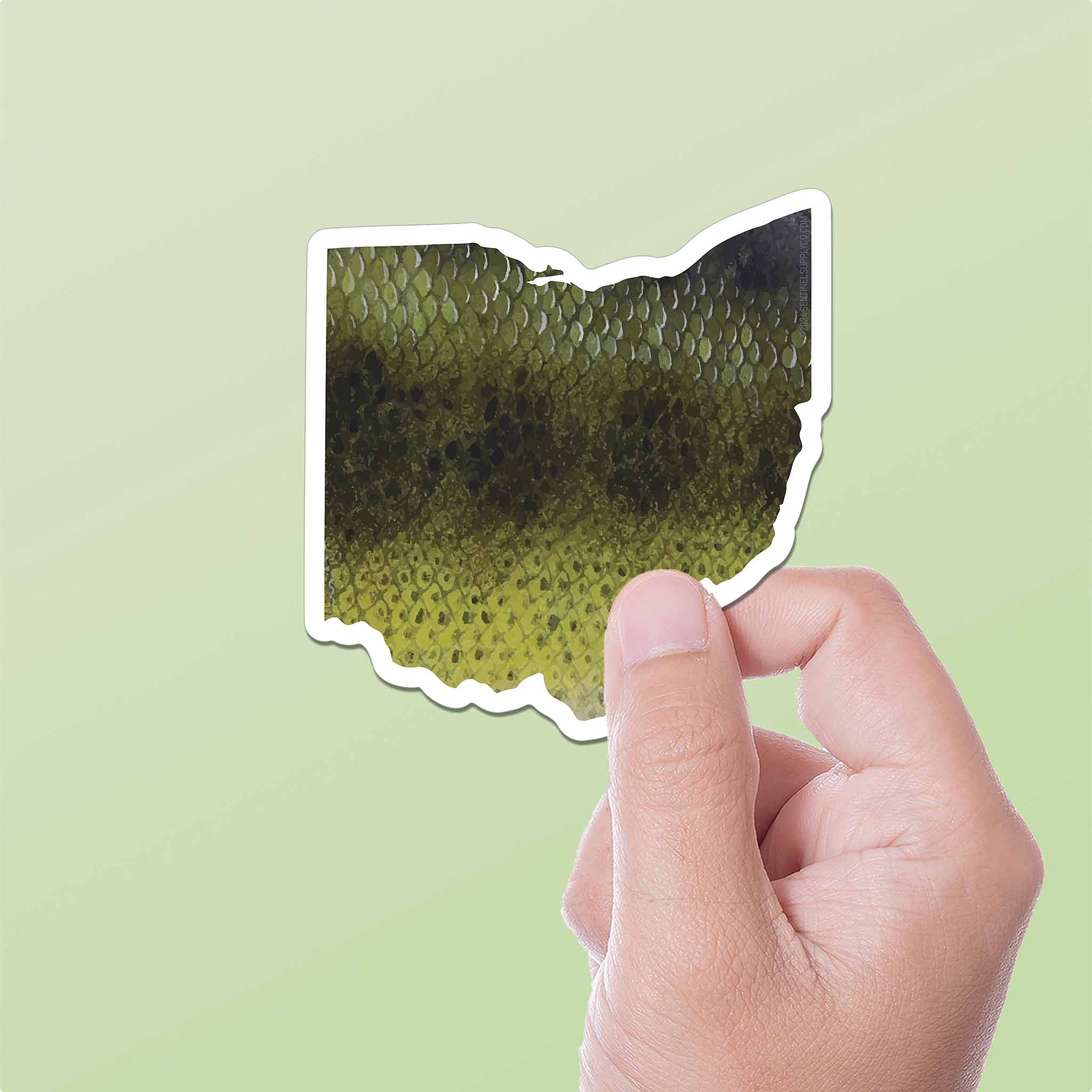 Largemouth Bass Ohio Sticker - OH Fishing Decal