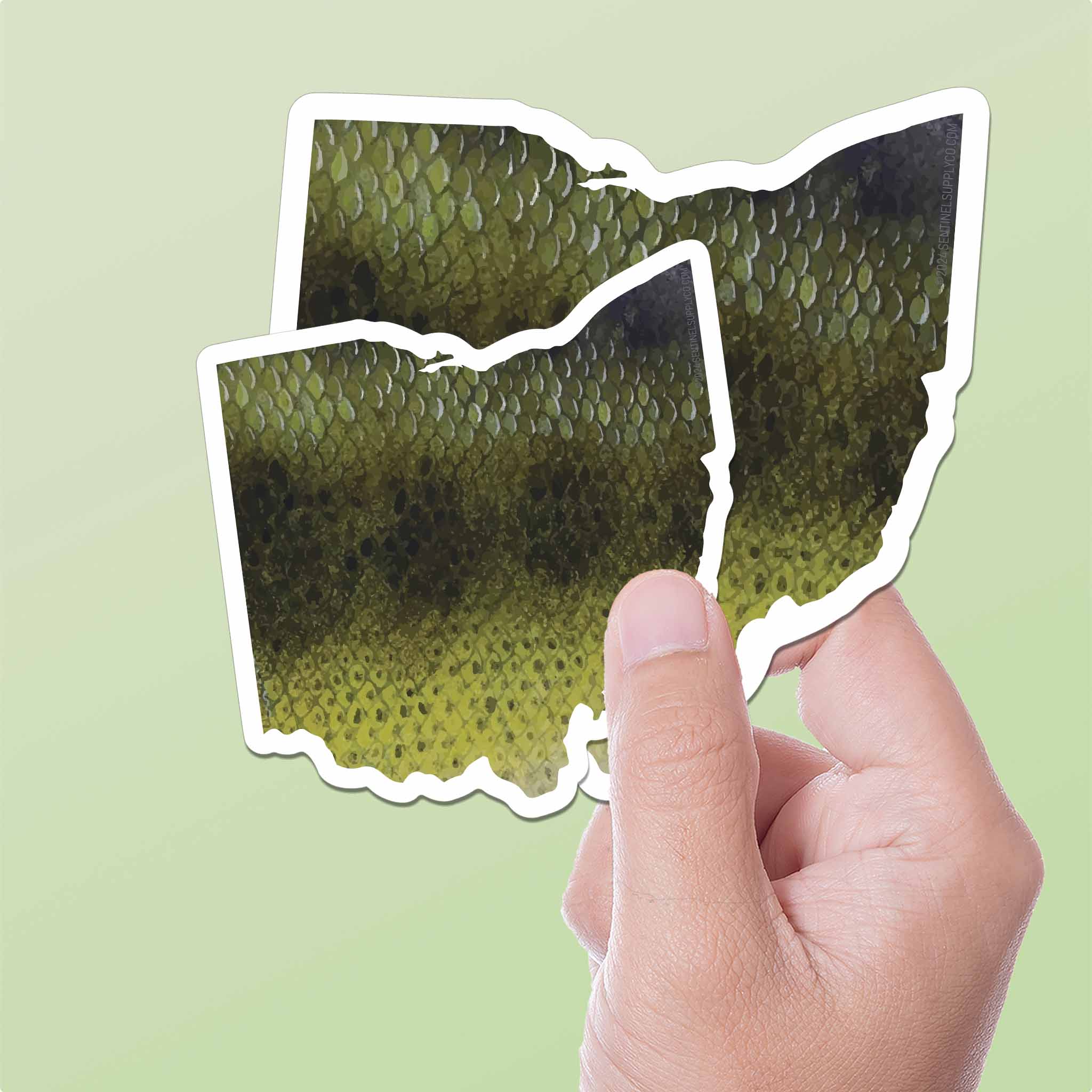 Largemouth Bass Ohio Sticker - OH Fishing Decal